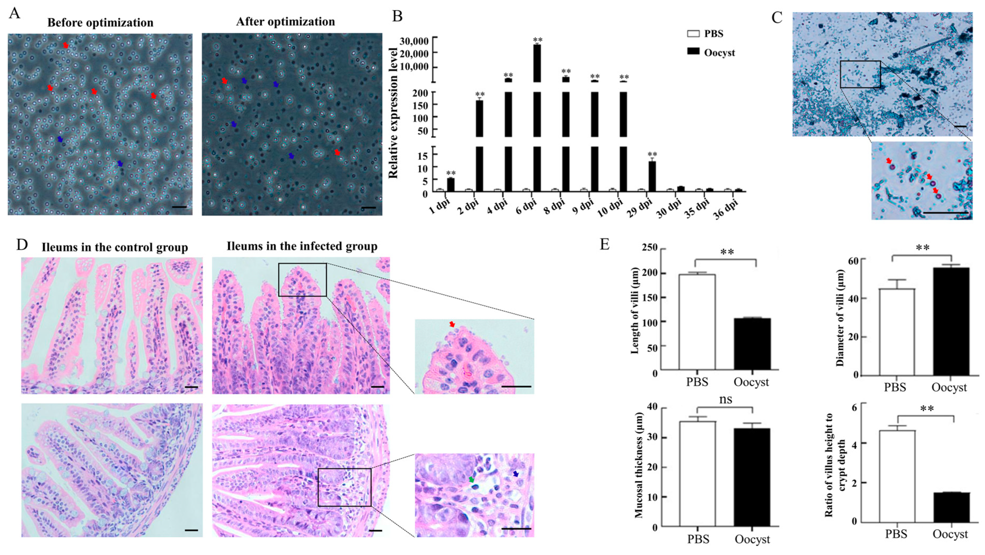 Animals 13 00837 g001 Animals 13 00837 g001