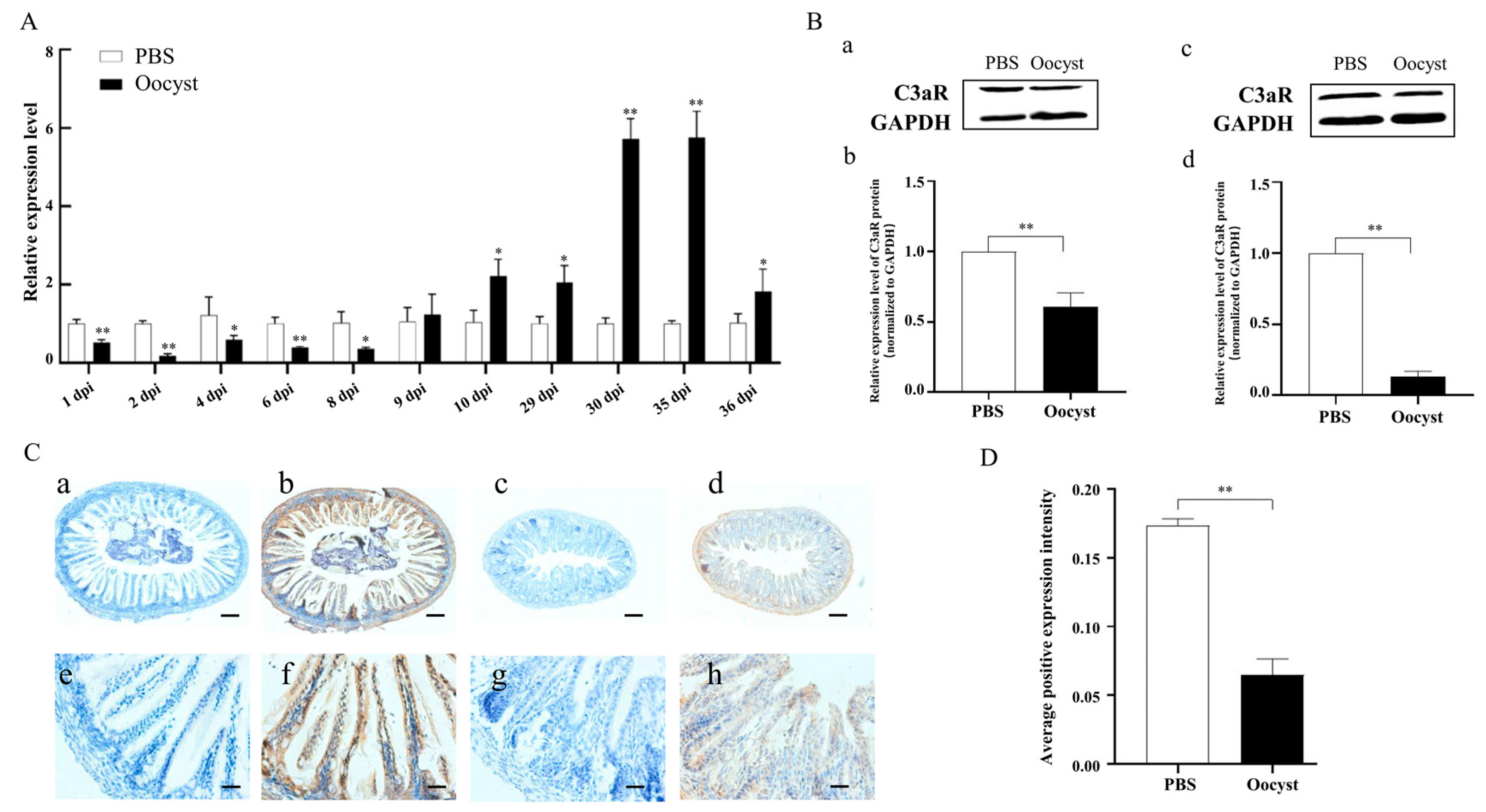 Animals 13 00837 g002 Animals 13 00837 g002