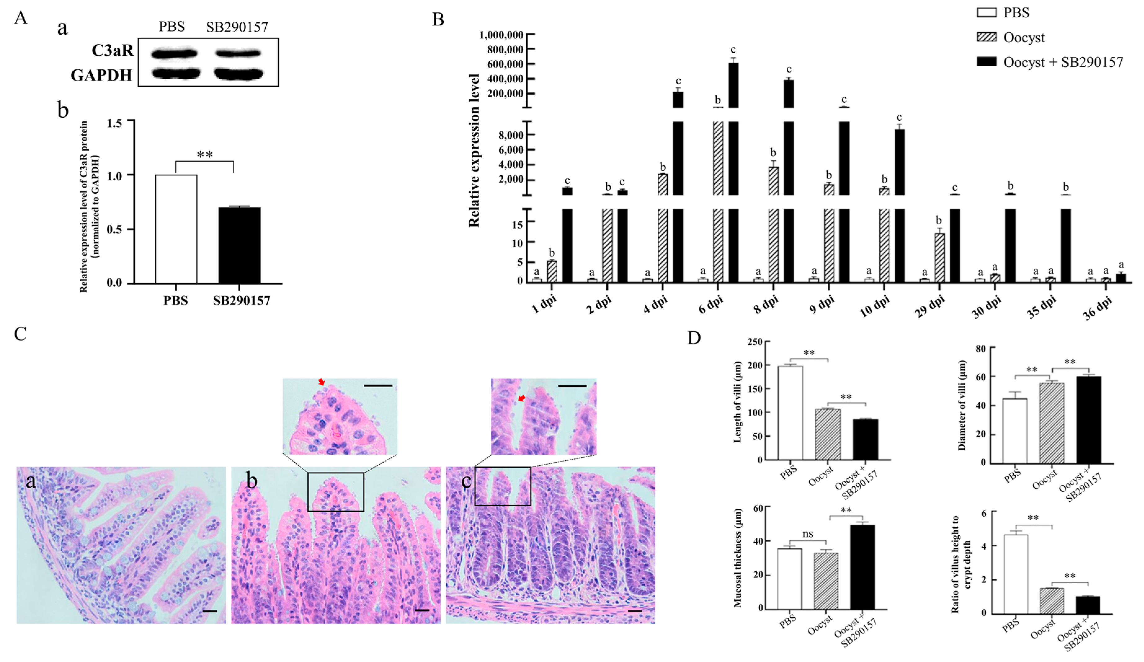 Animals 13 00837 g003 Animals 13 00837 g003