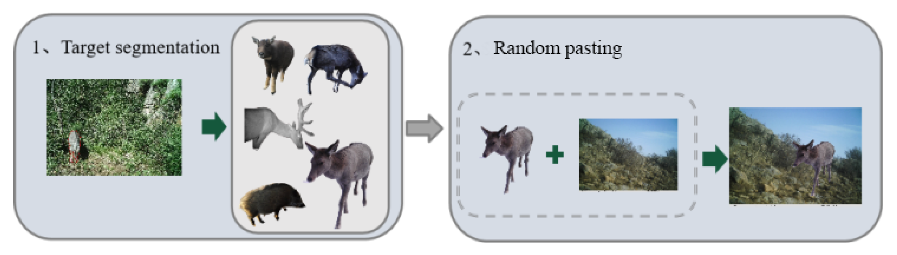 Animals 13 00838 g002