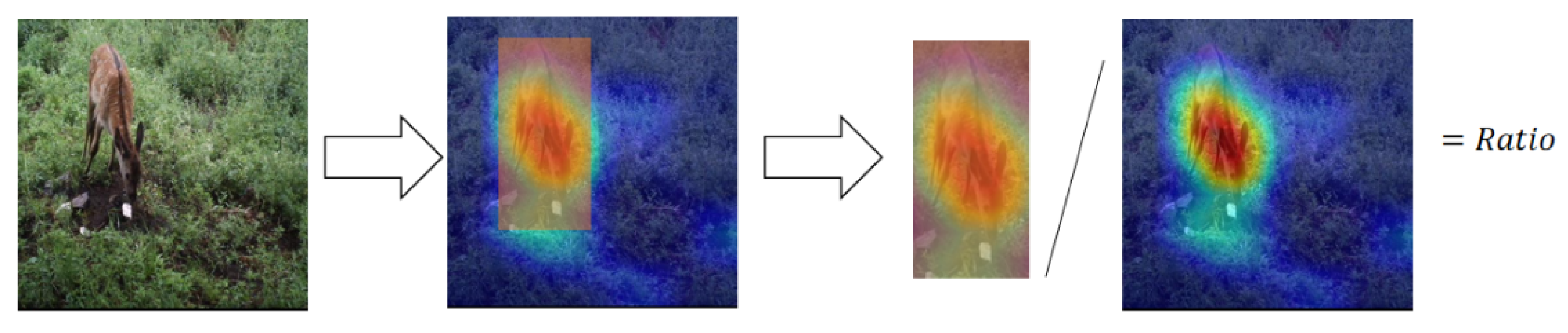 Animals 13 00838 g005