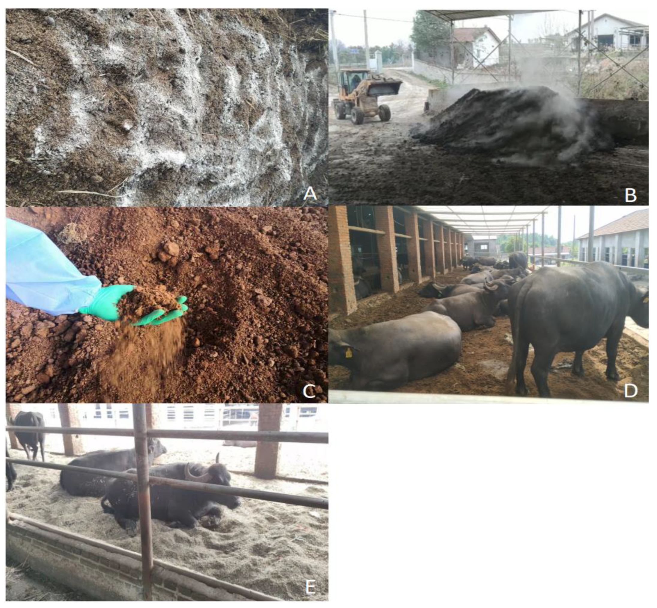 Animals 13 00842 g001