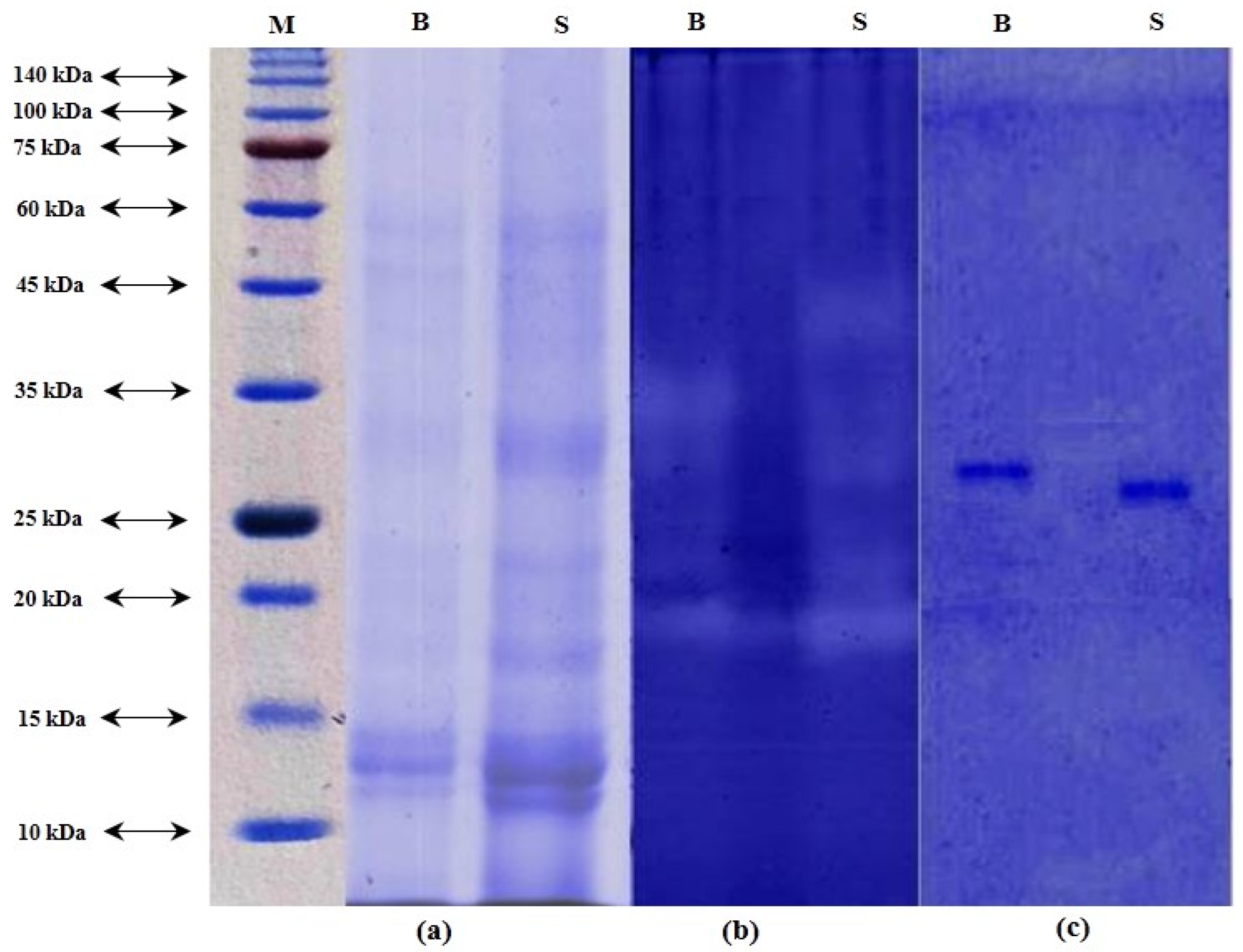 Animals 13 00853 g001