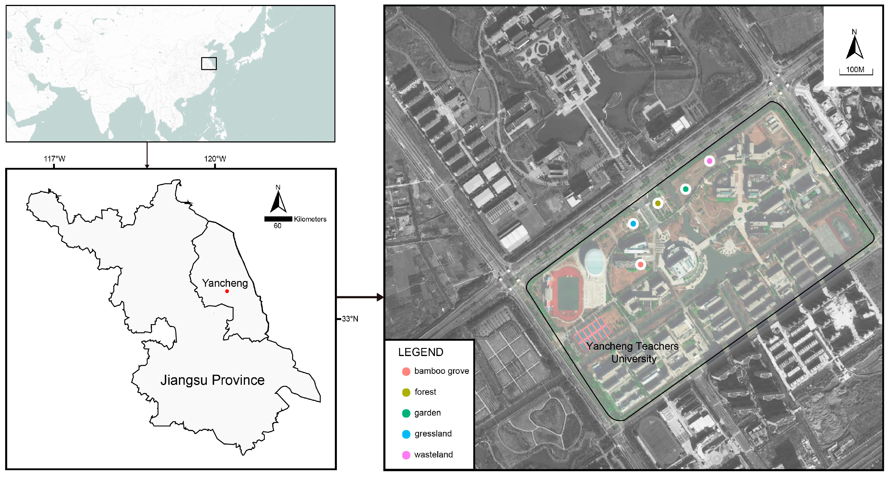 Animals 13 00857 g001 Animals 13 00857 g001