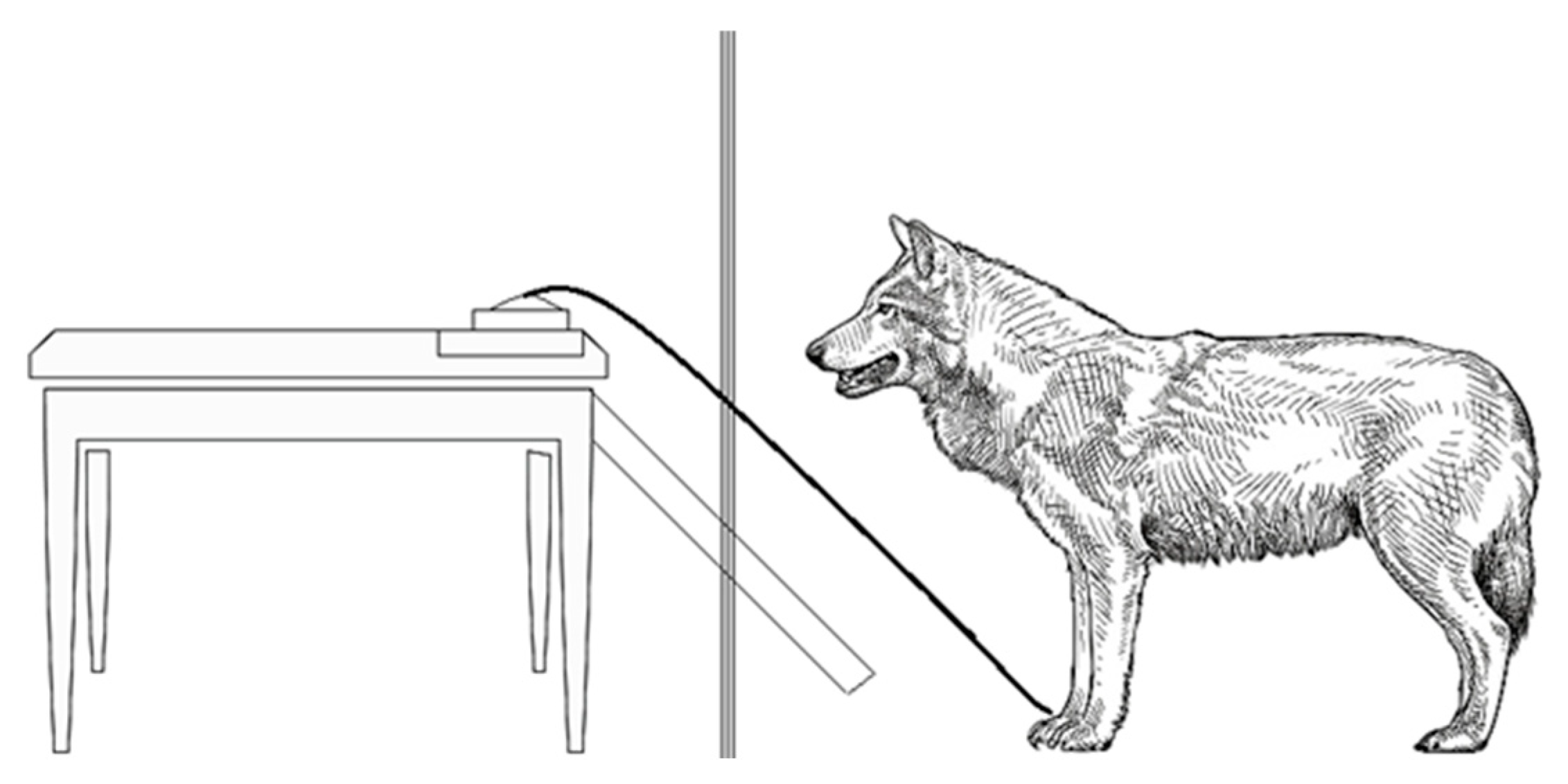 Animals 13 00872 g001