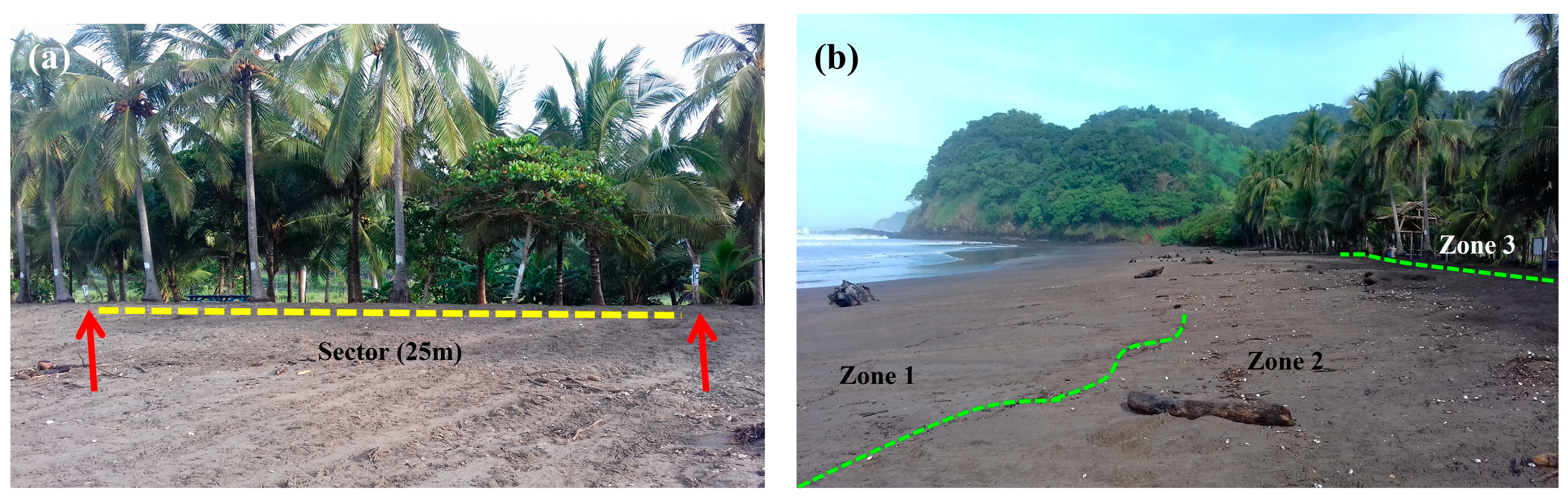 Animals 13 00875 g002 Animals 13 00875 g002