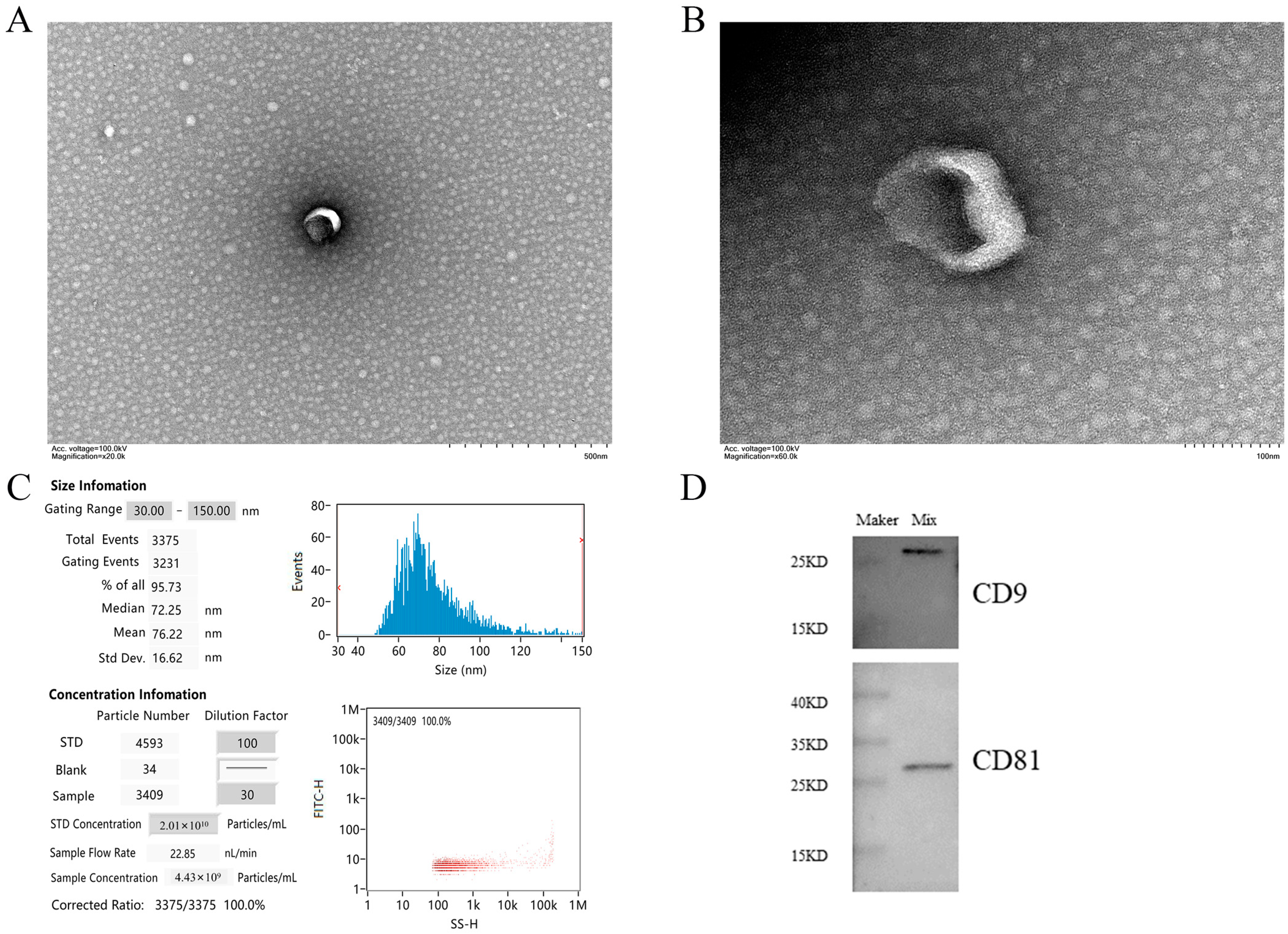 Animals 13 00876 g001 Animals 13 00876 g001