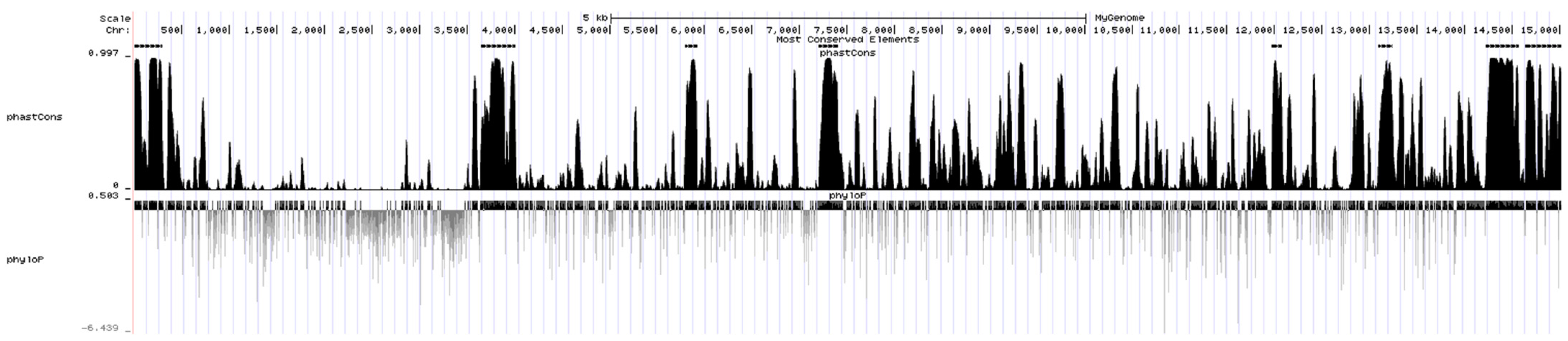 Animals 13 00876 g006 Animals 13 00876 g006