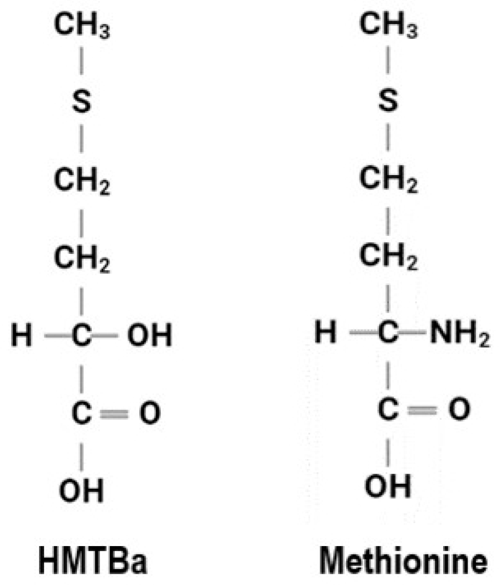 Animals 13 00877 g001