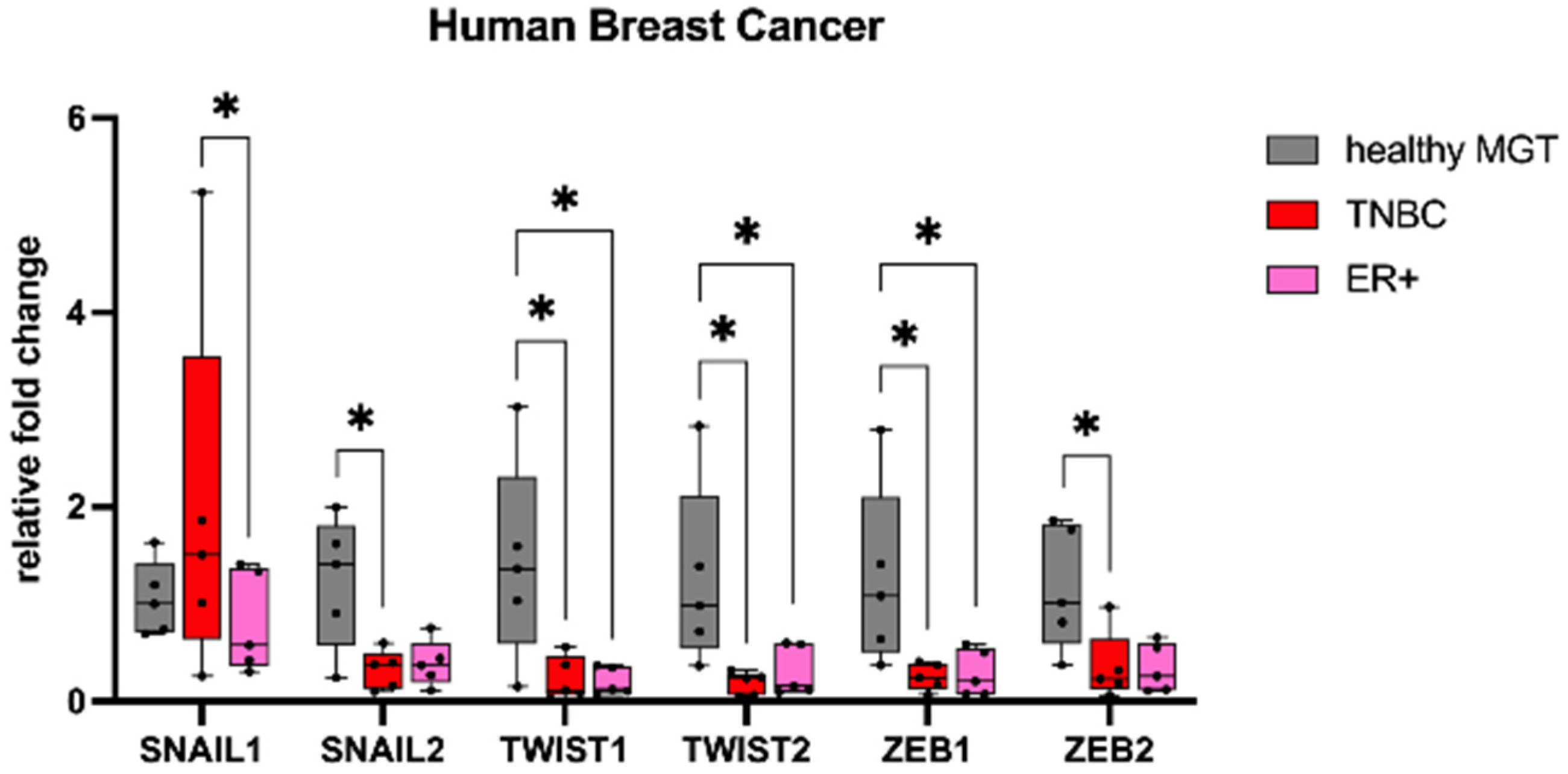 Animals 13 00878 g001 Animals 13 00878 g001