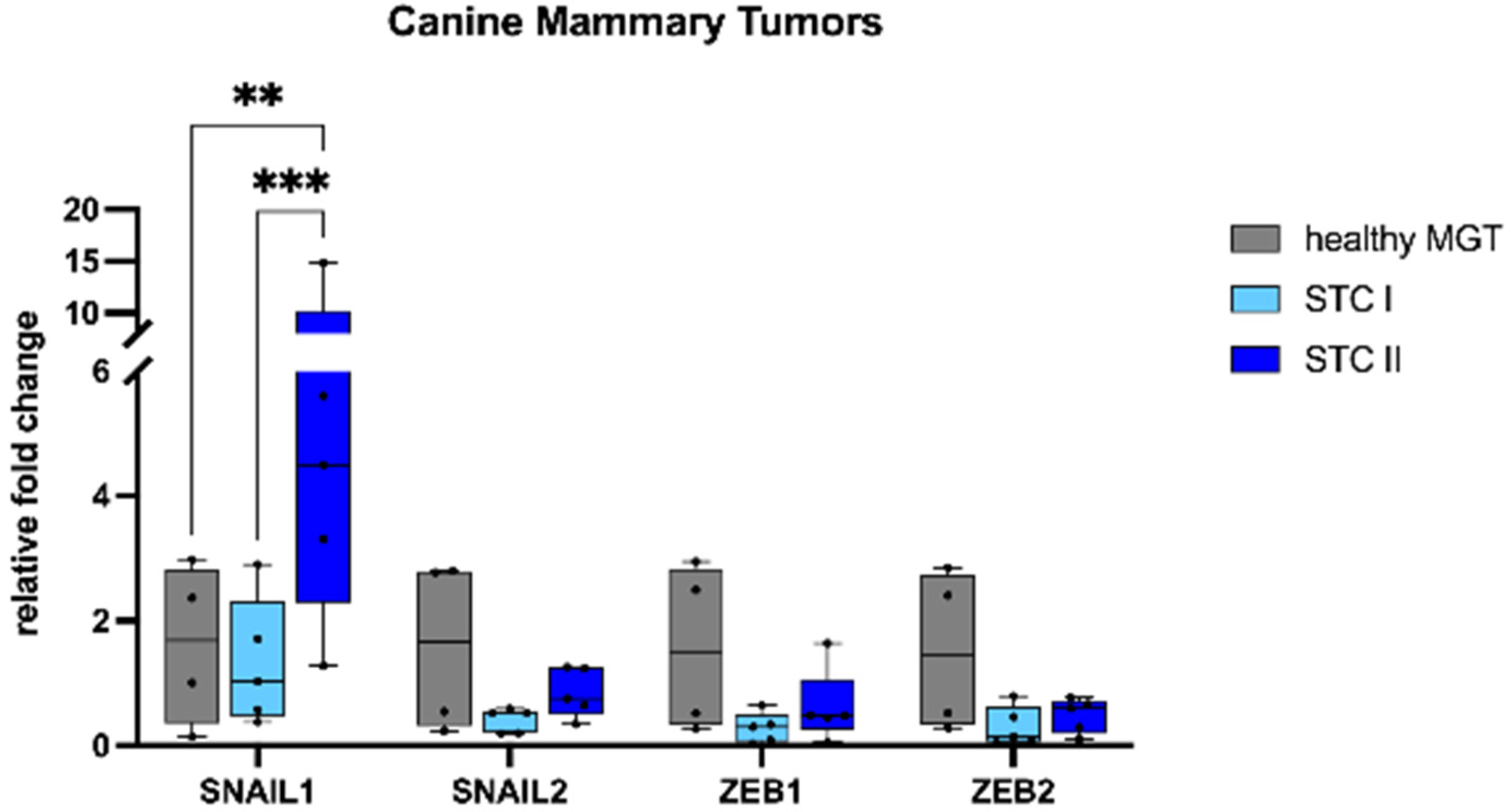 Animals 13 00878 g002 Animals 13 00878 g002