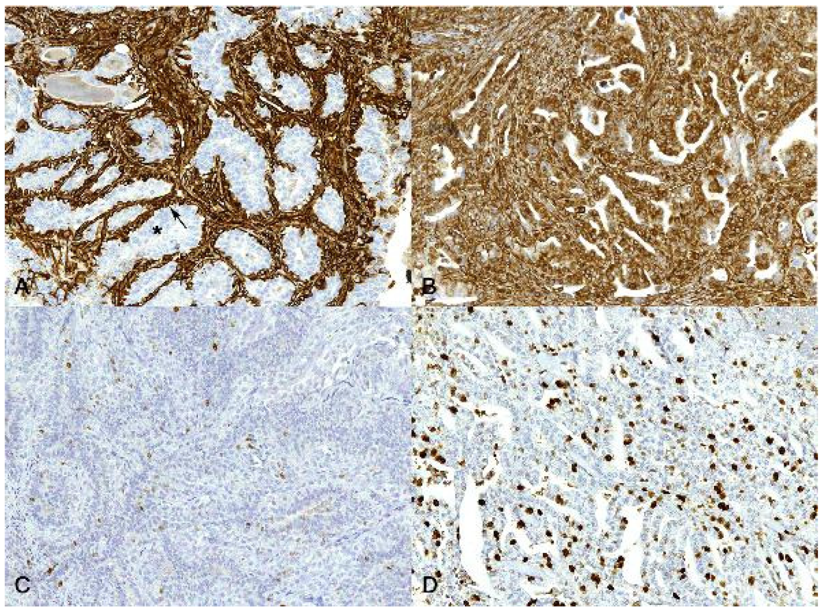 Animals 13 00878 g006 Animals 13 00878 g006