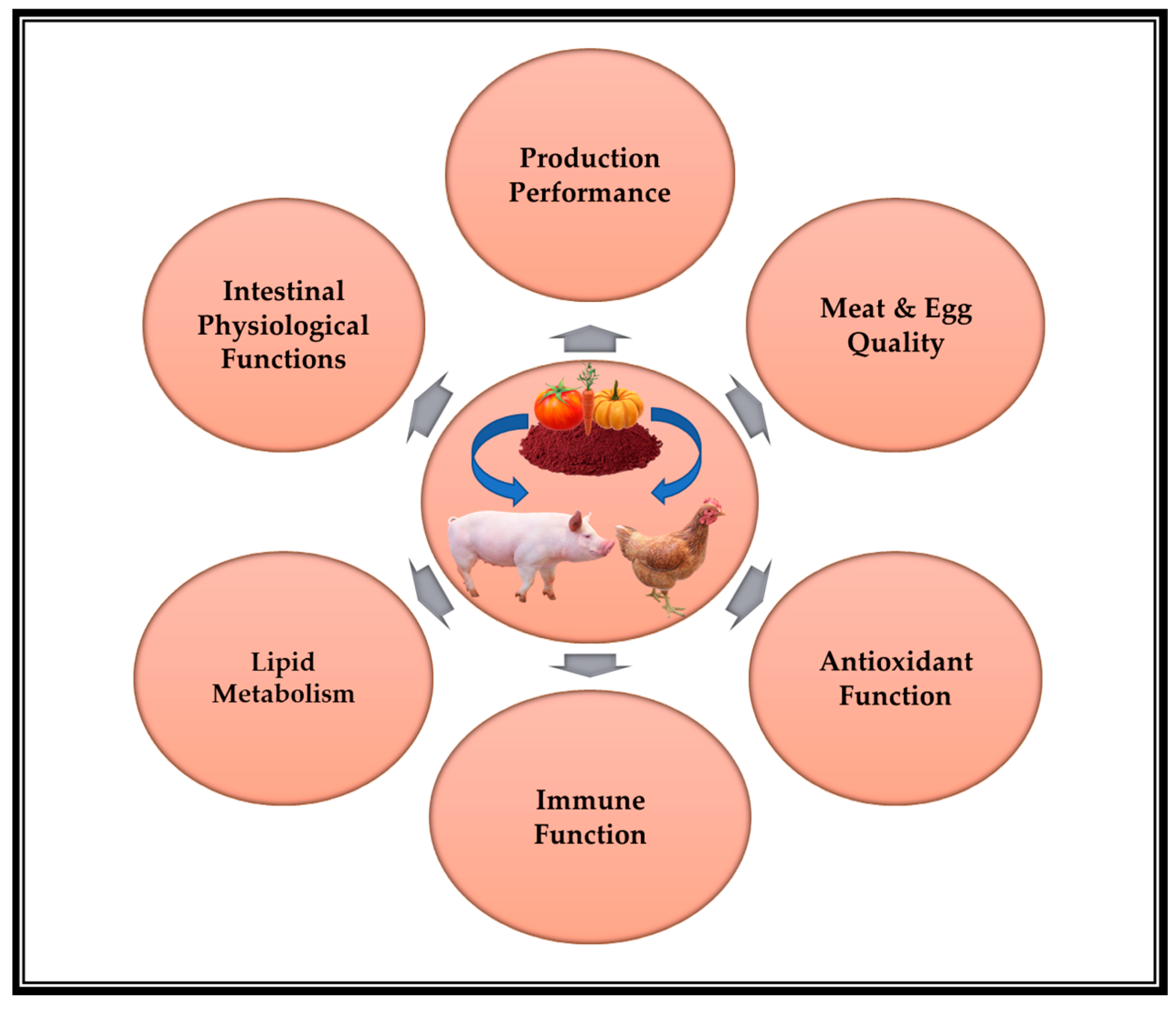 Animals 13 00883 g002 Animals 13 00883 g002