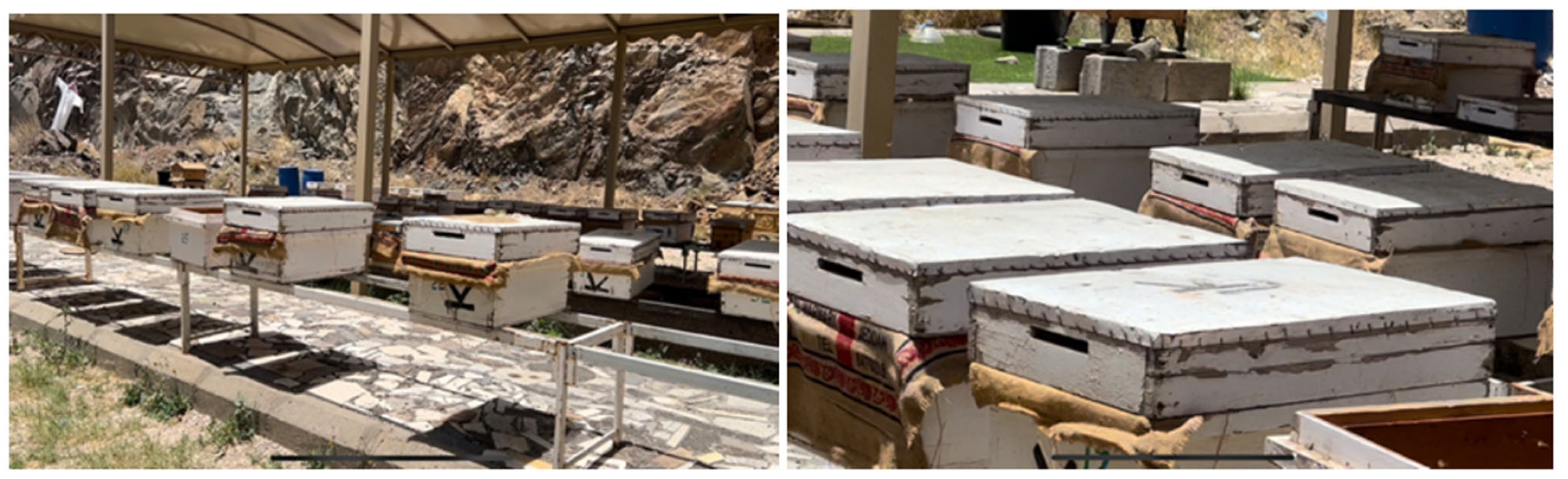 Animals 13 00885 g001 Animals 13 00885 g001