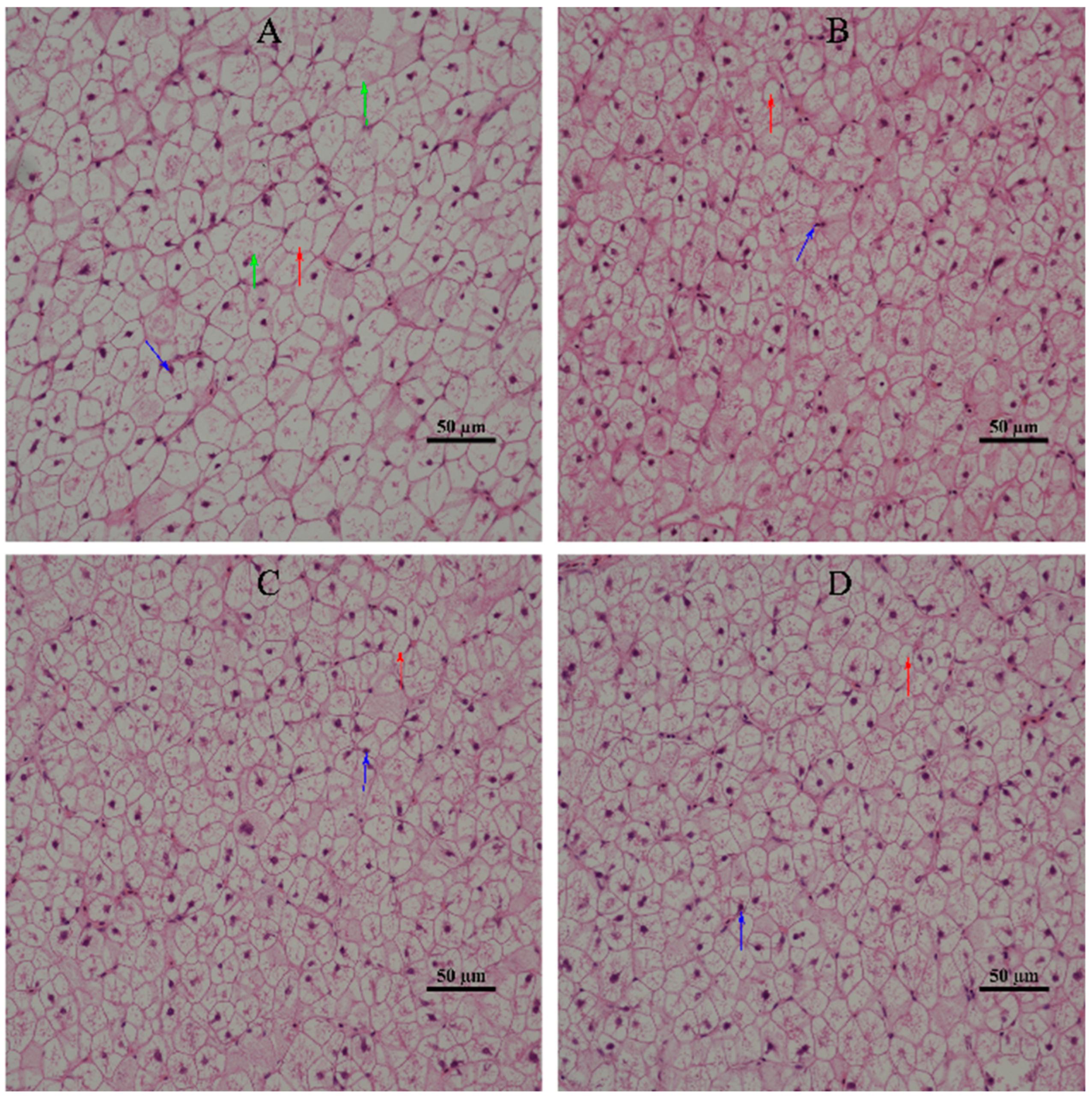 Animals 13 00887 g001