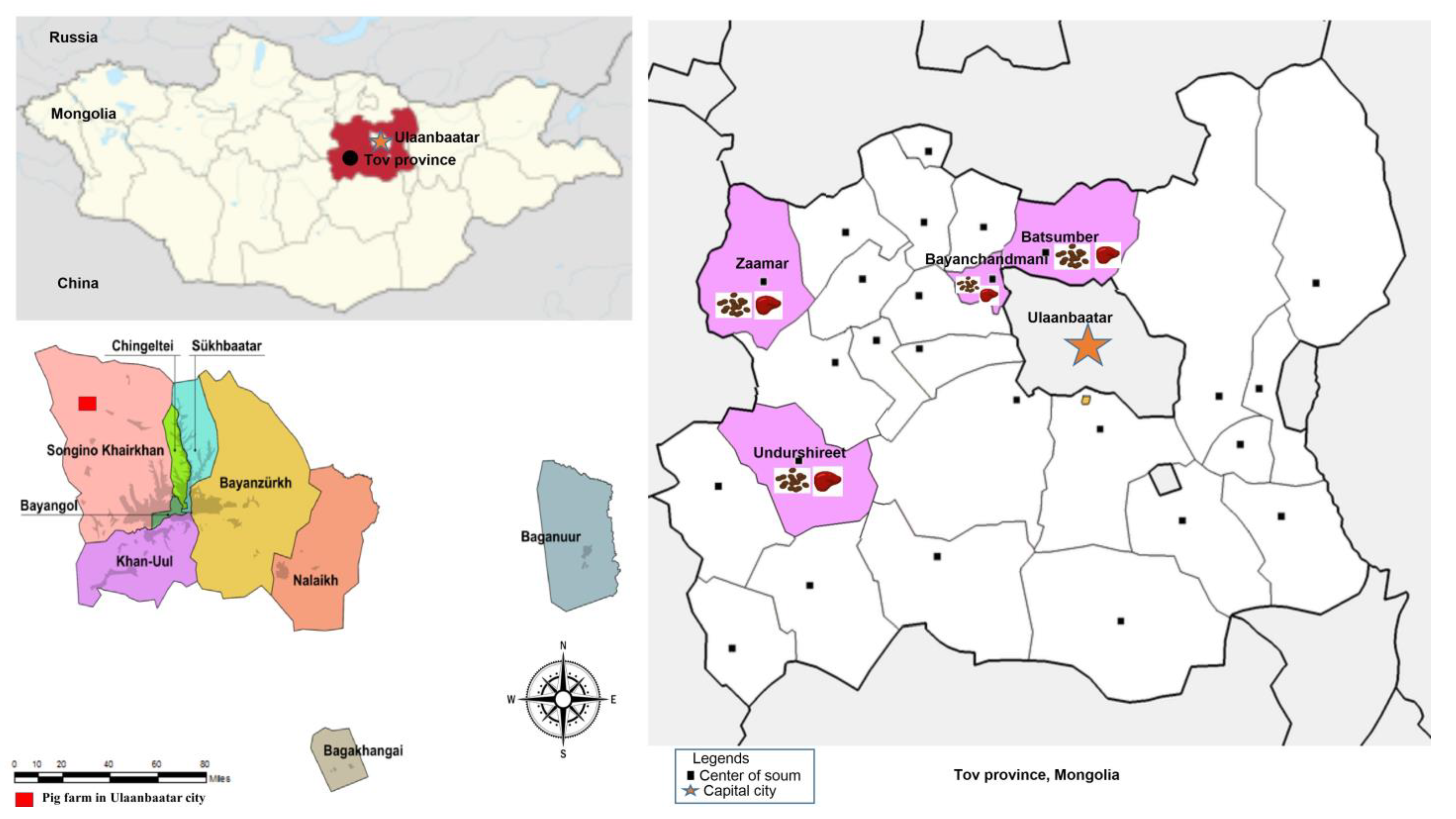 Animals 13 00891 g001 Animals 13 00891 g001