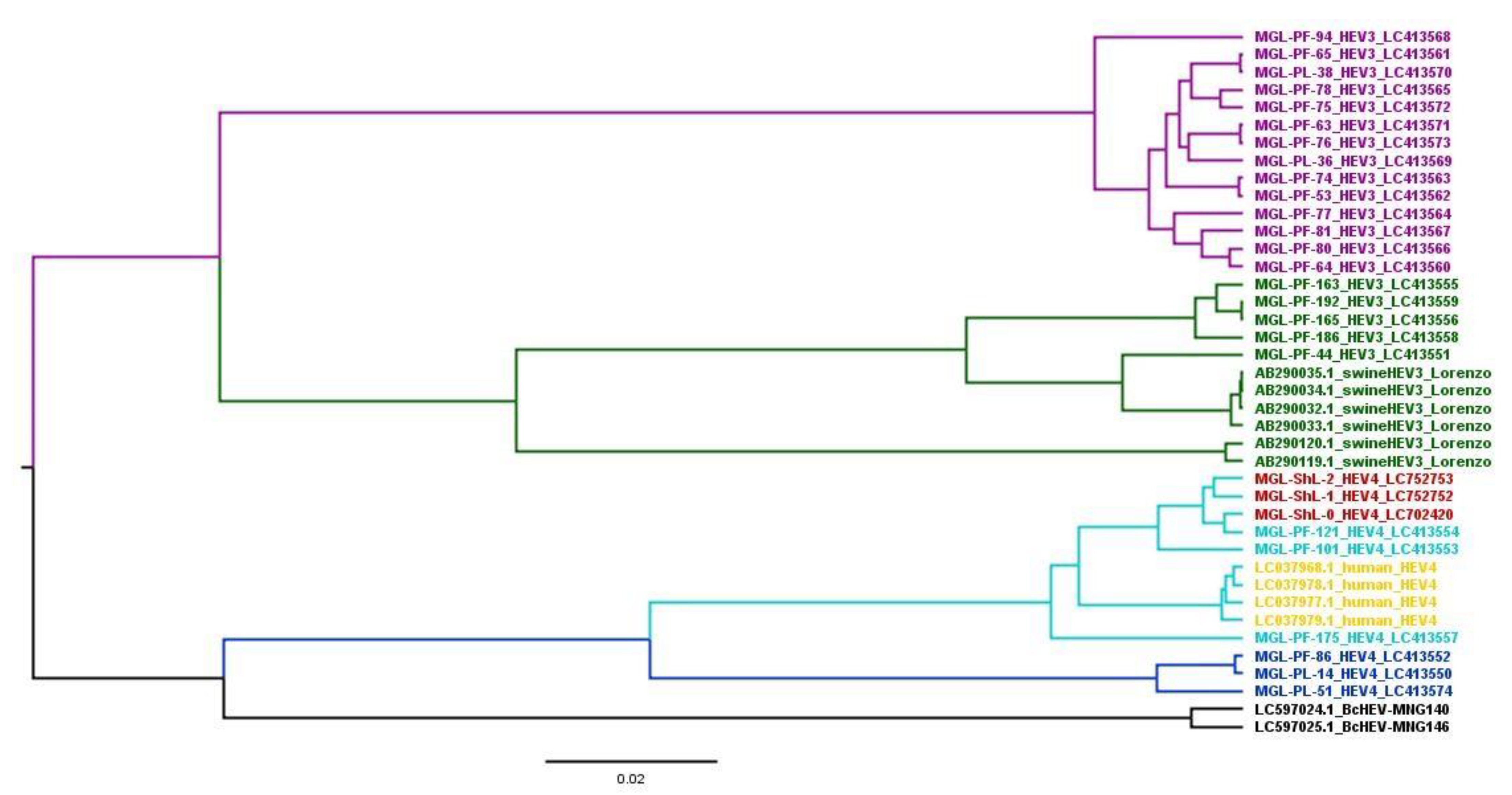 Animals 13 00891 g003 Animals 13 00891 g003