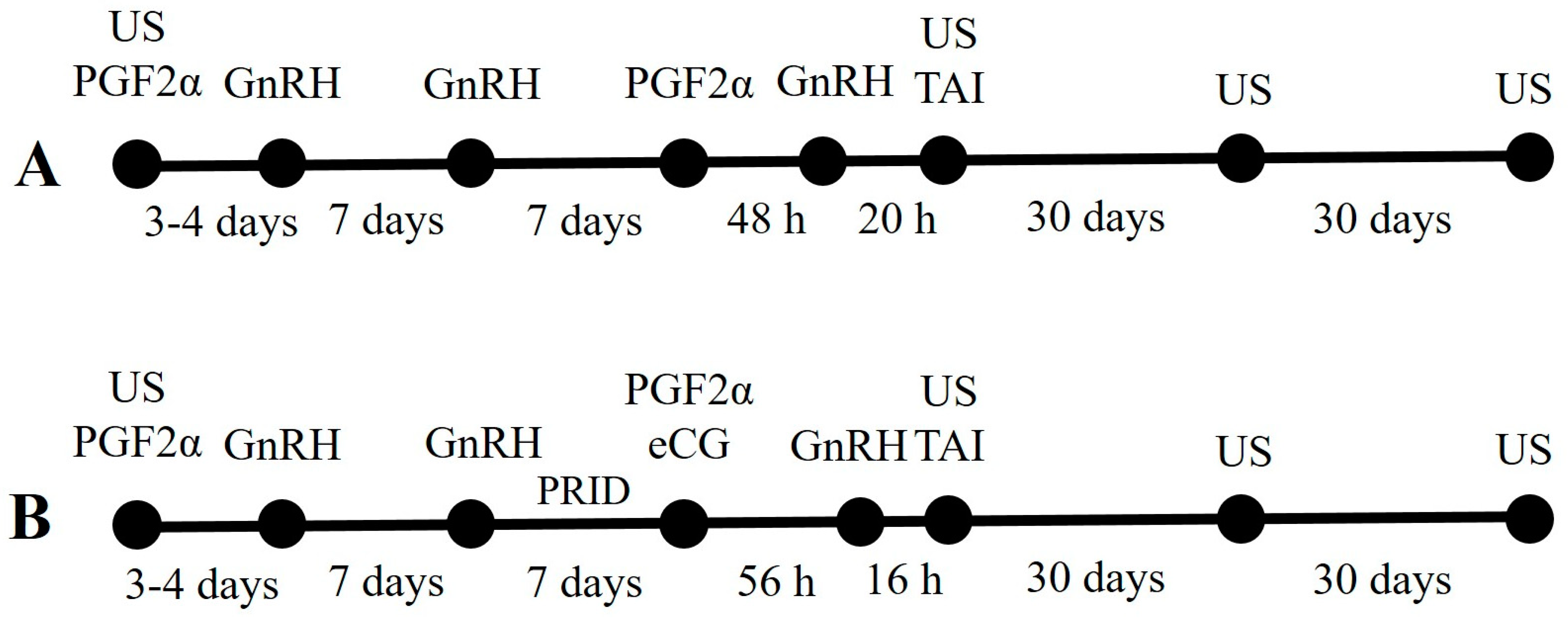 Animals 13 00896 g001 Animals 13 00896 g001