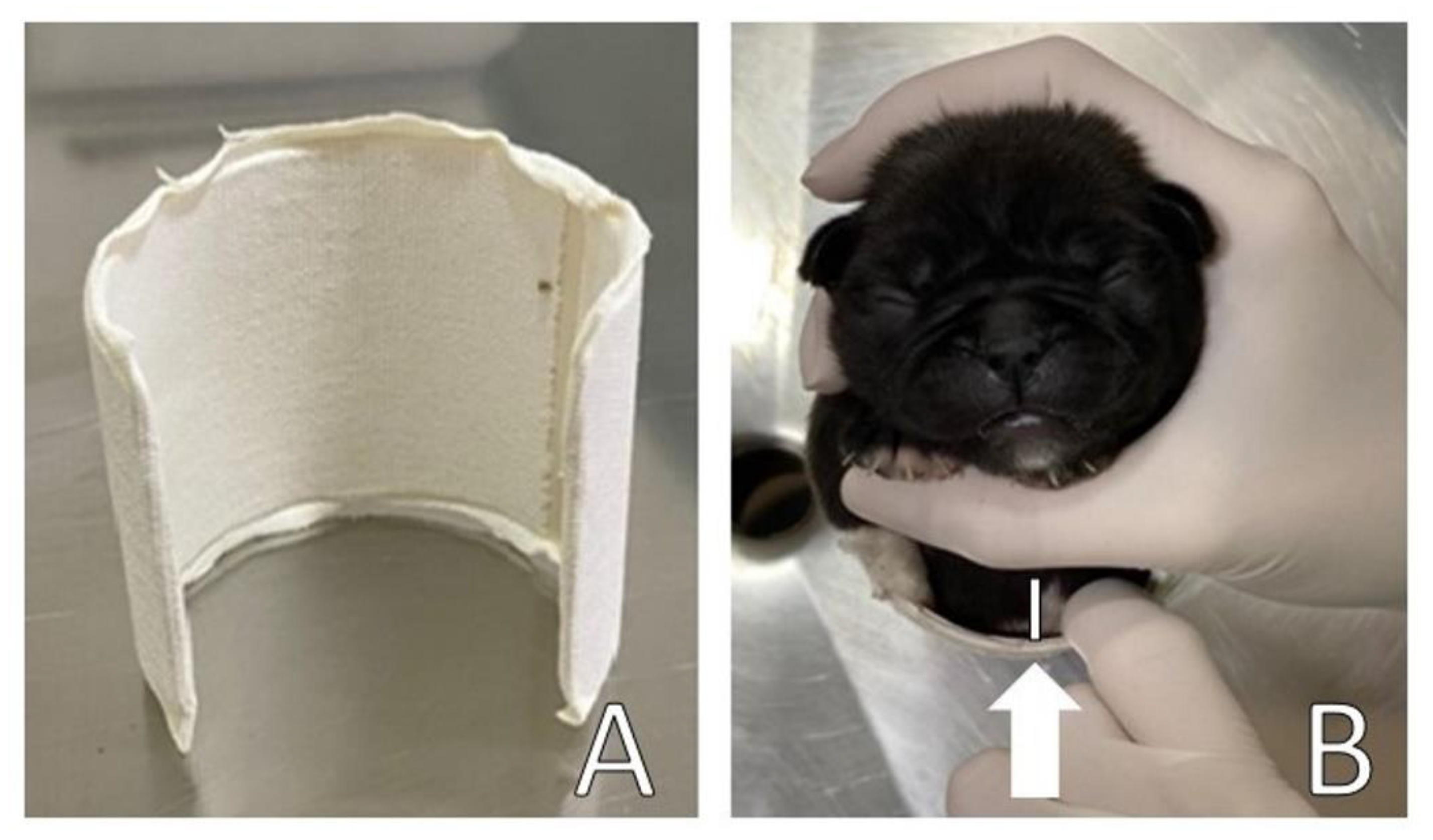 Animals 13 00906 g005