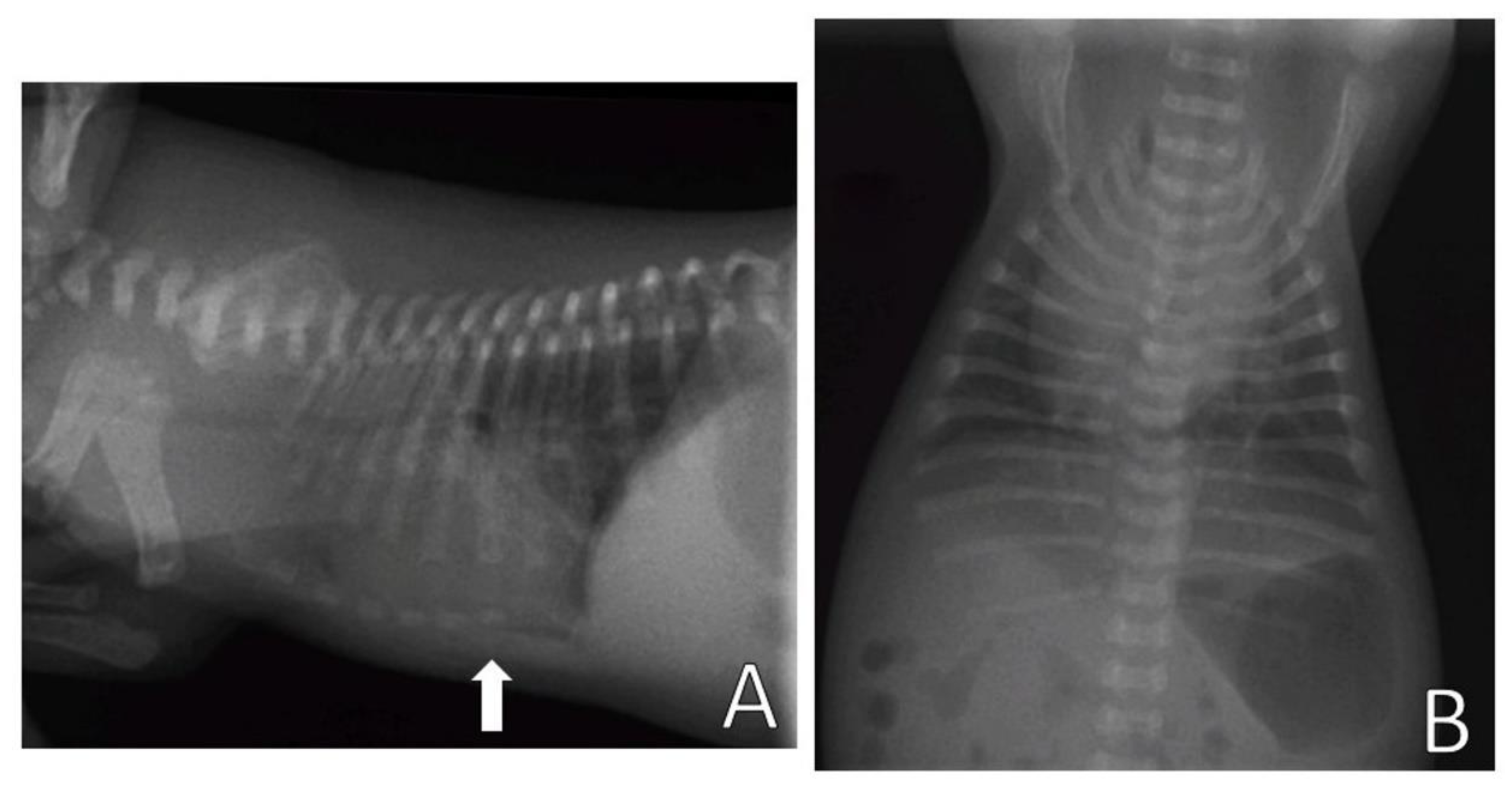 Animals 13 00906 g011