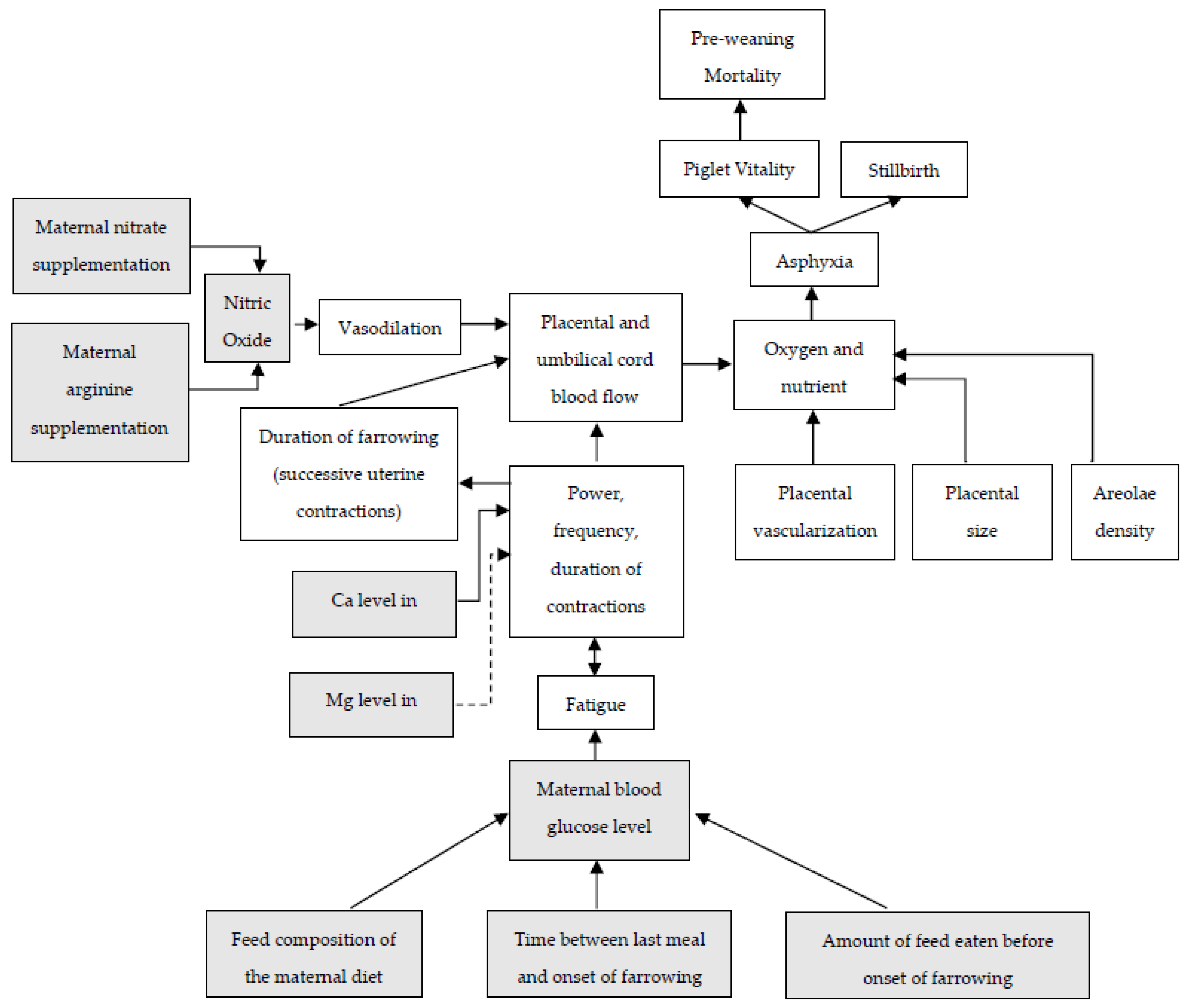 Animals 13 00910 g003 Animals 13 00910 g003