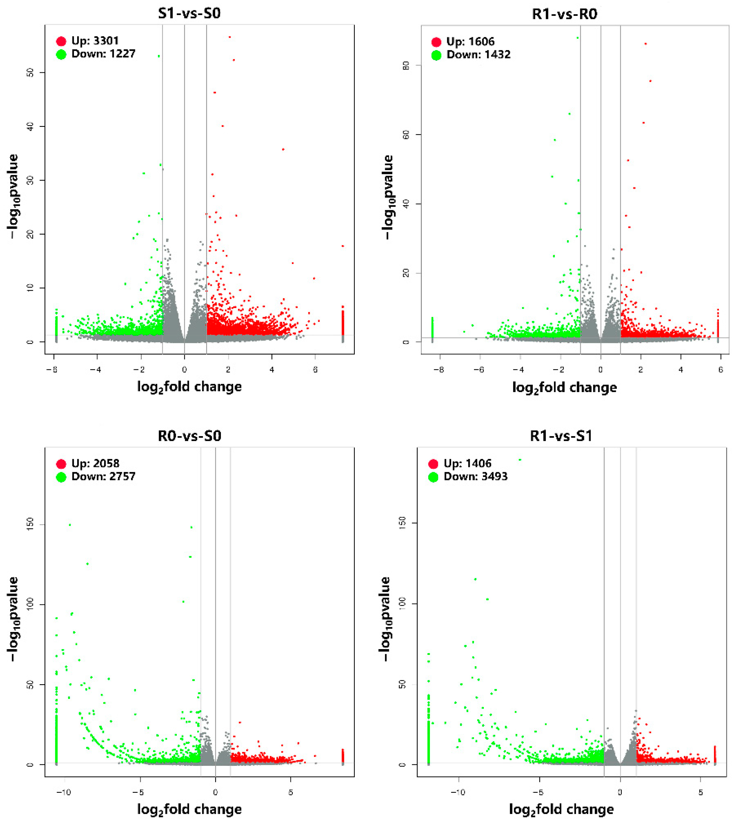 Animals 13 00919 g001