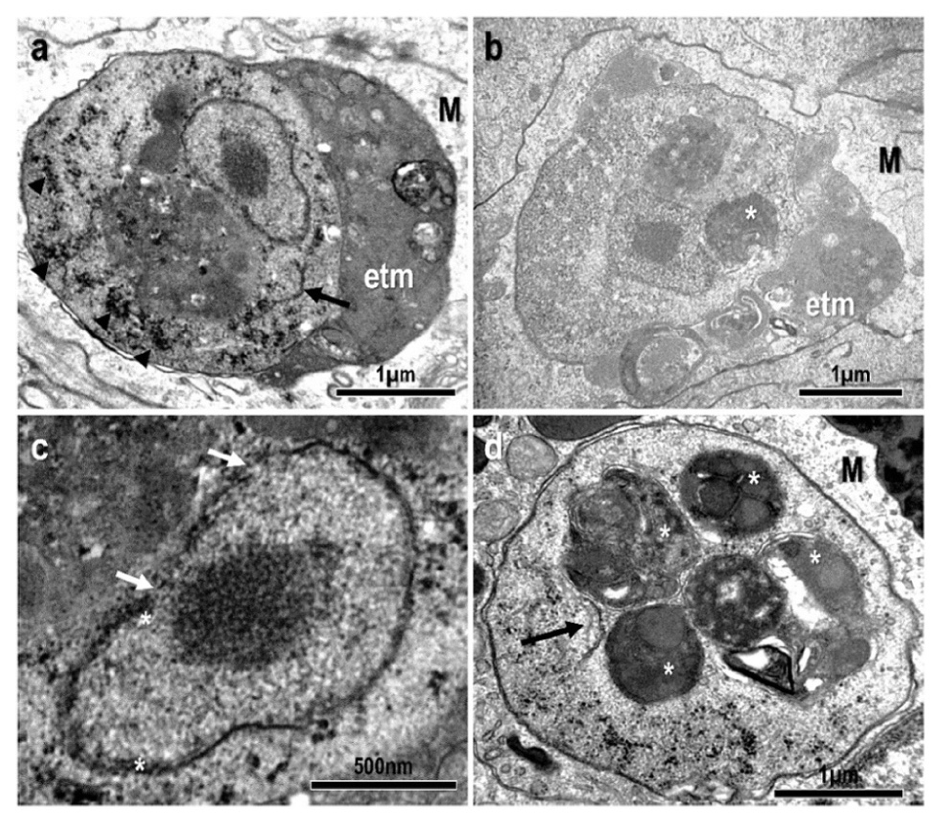 Animals 13 00935 g002 Animals 13 00935 g002