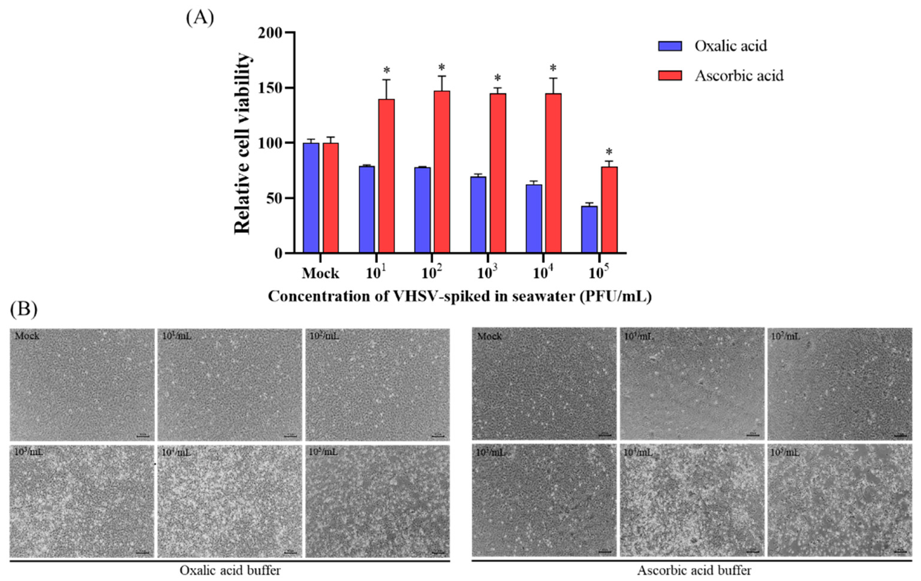Animals 13 00943 g002