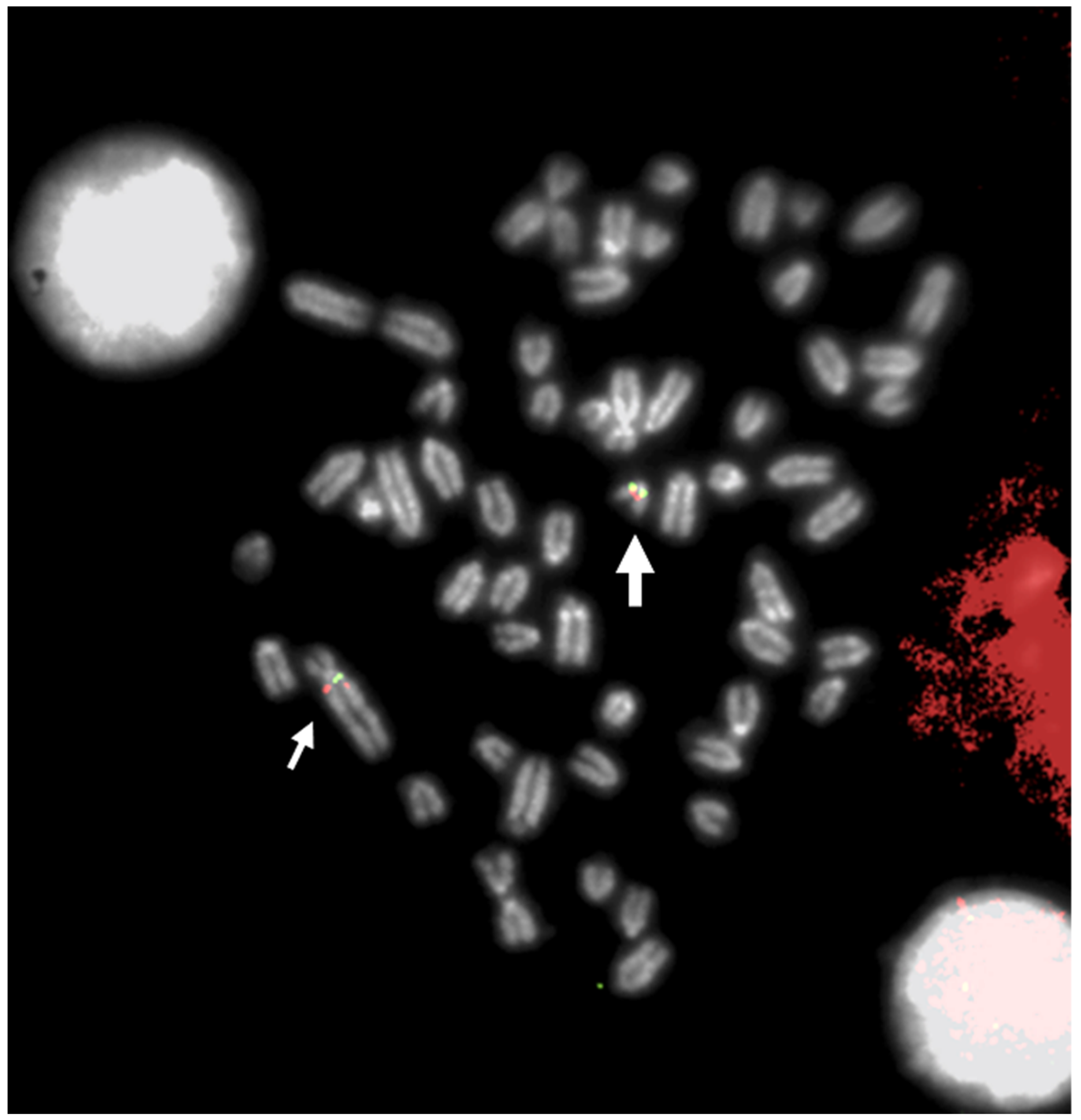 Animals 13 00944 g001 Animals 13 00944 g001