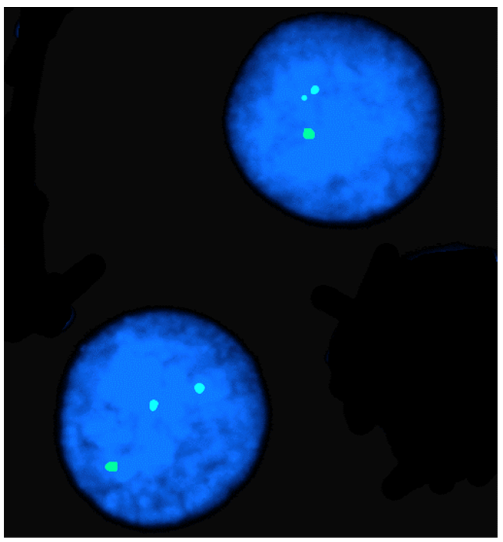 Animals 13 00944 g002 Animals 13 00944 g002