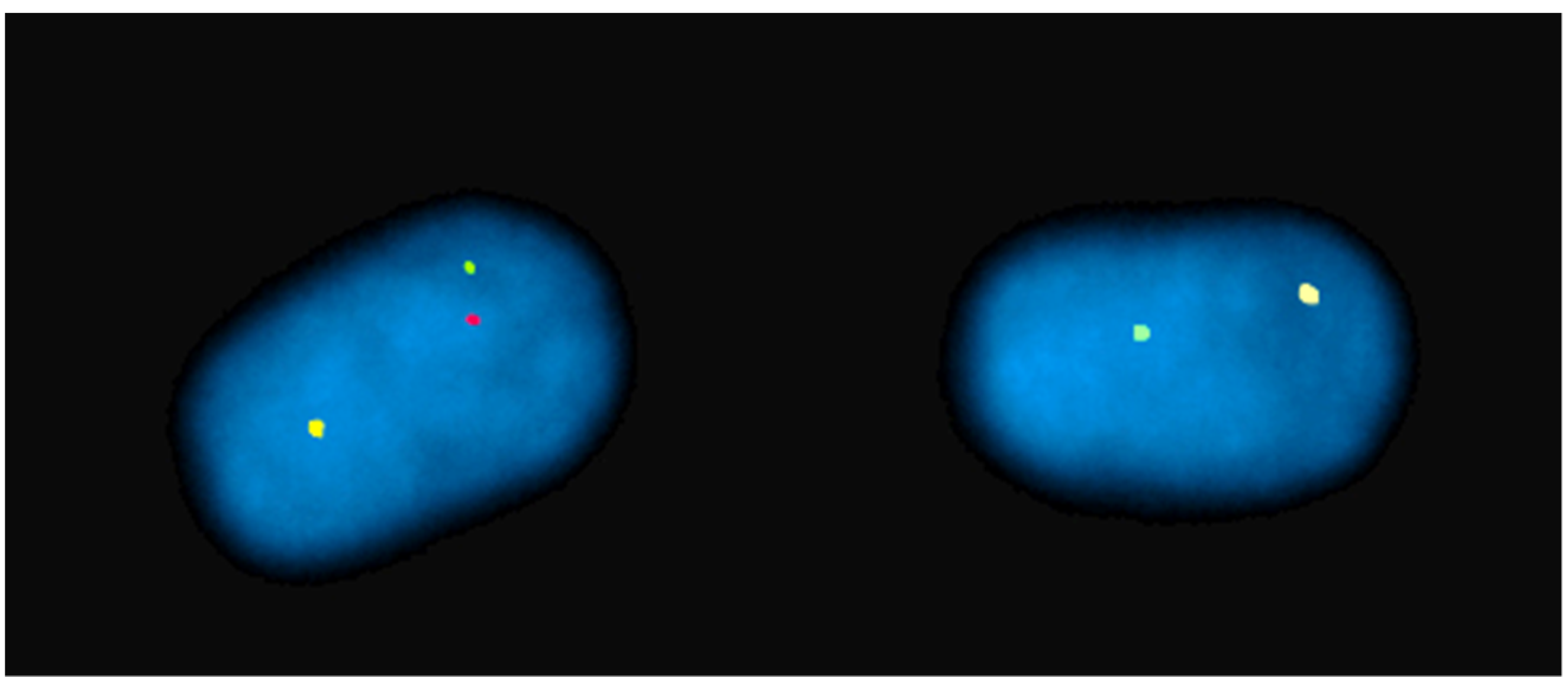 Animals 13 00944 g003 Animals 13 00944 g003