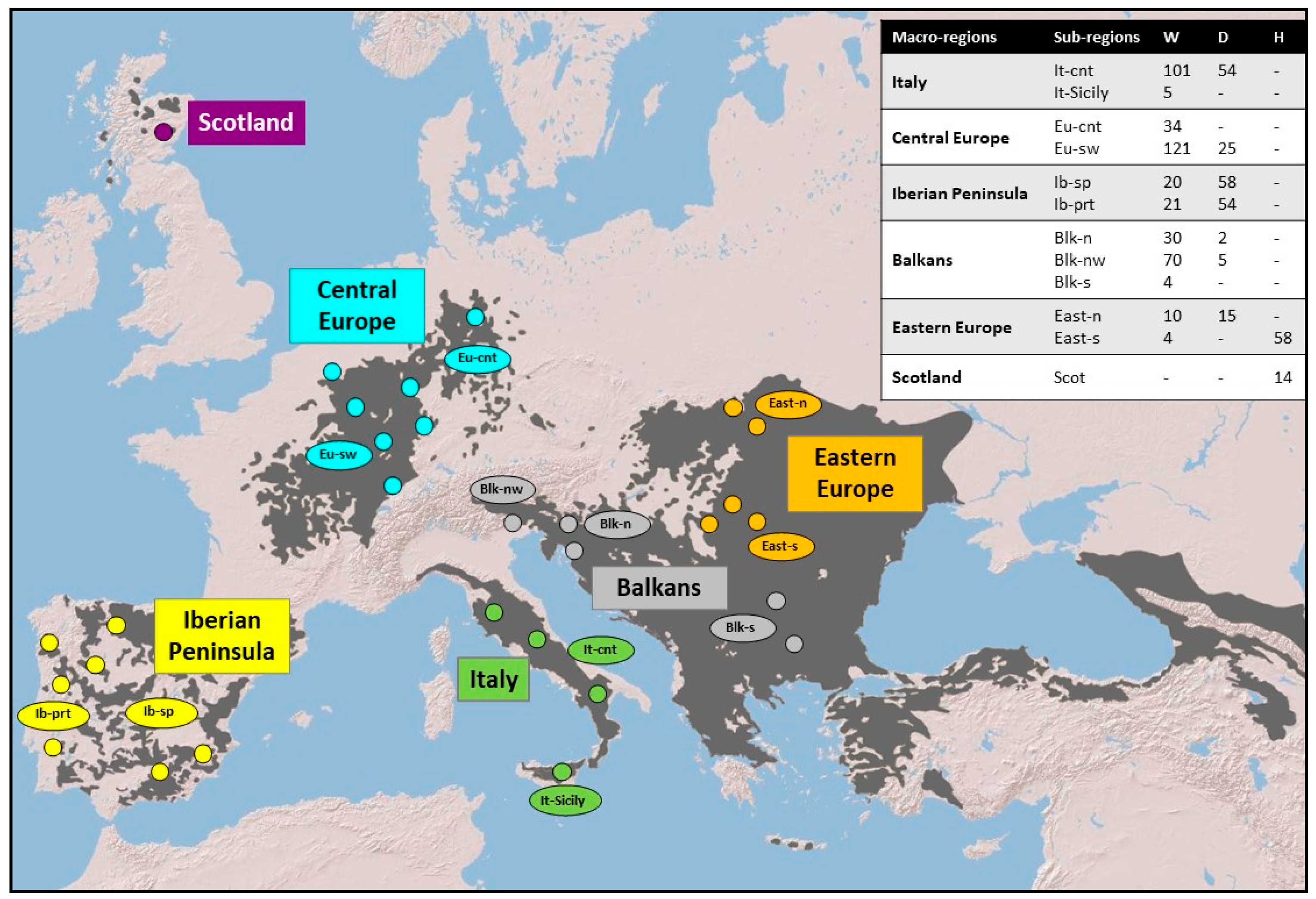 Animals 13 00953 g001 Animals 13 00953 g001