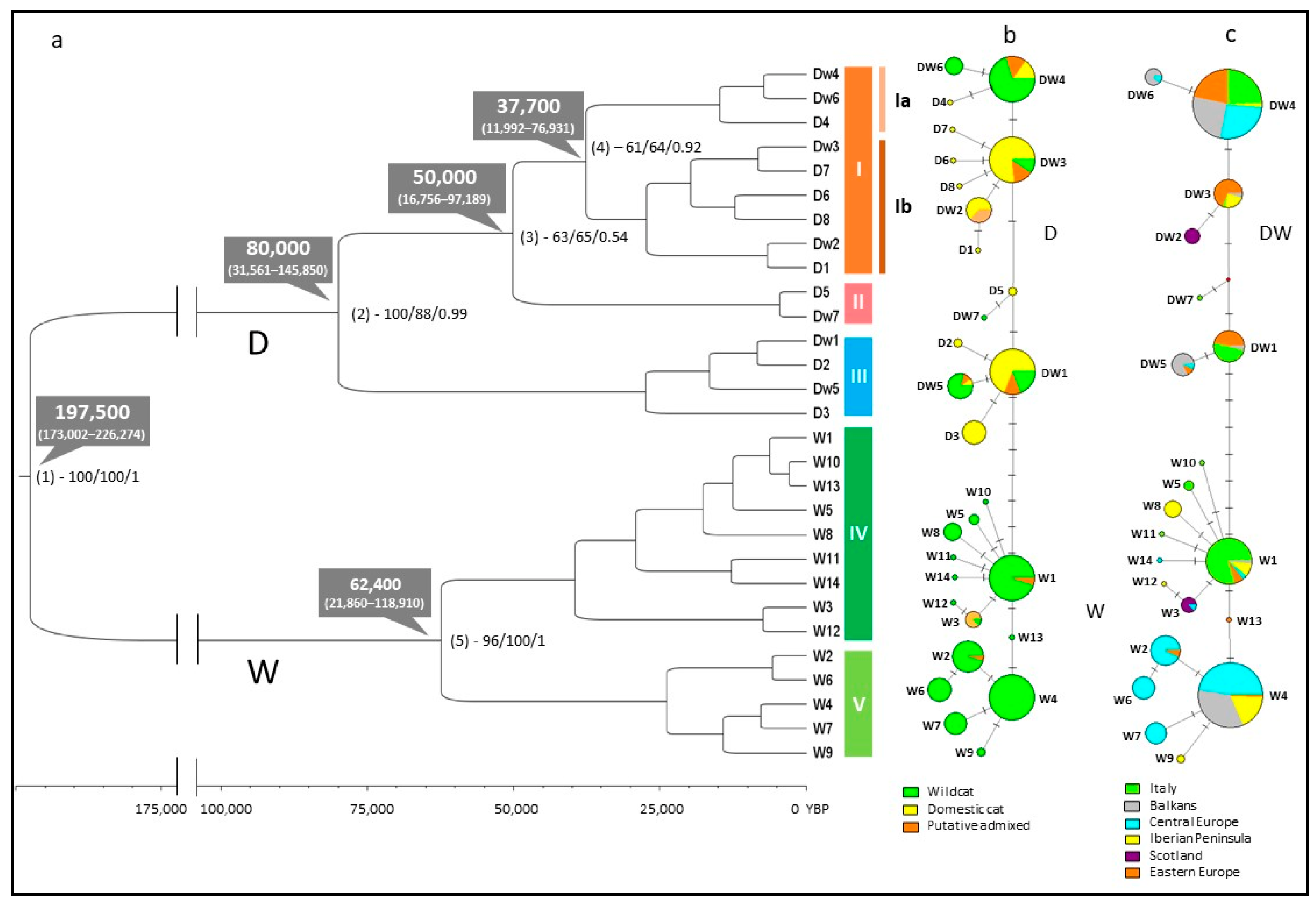 Animals 13 00953 g002 Animals 13 00953 g002