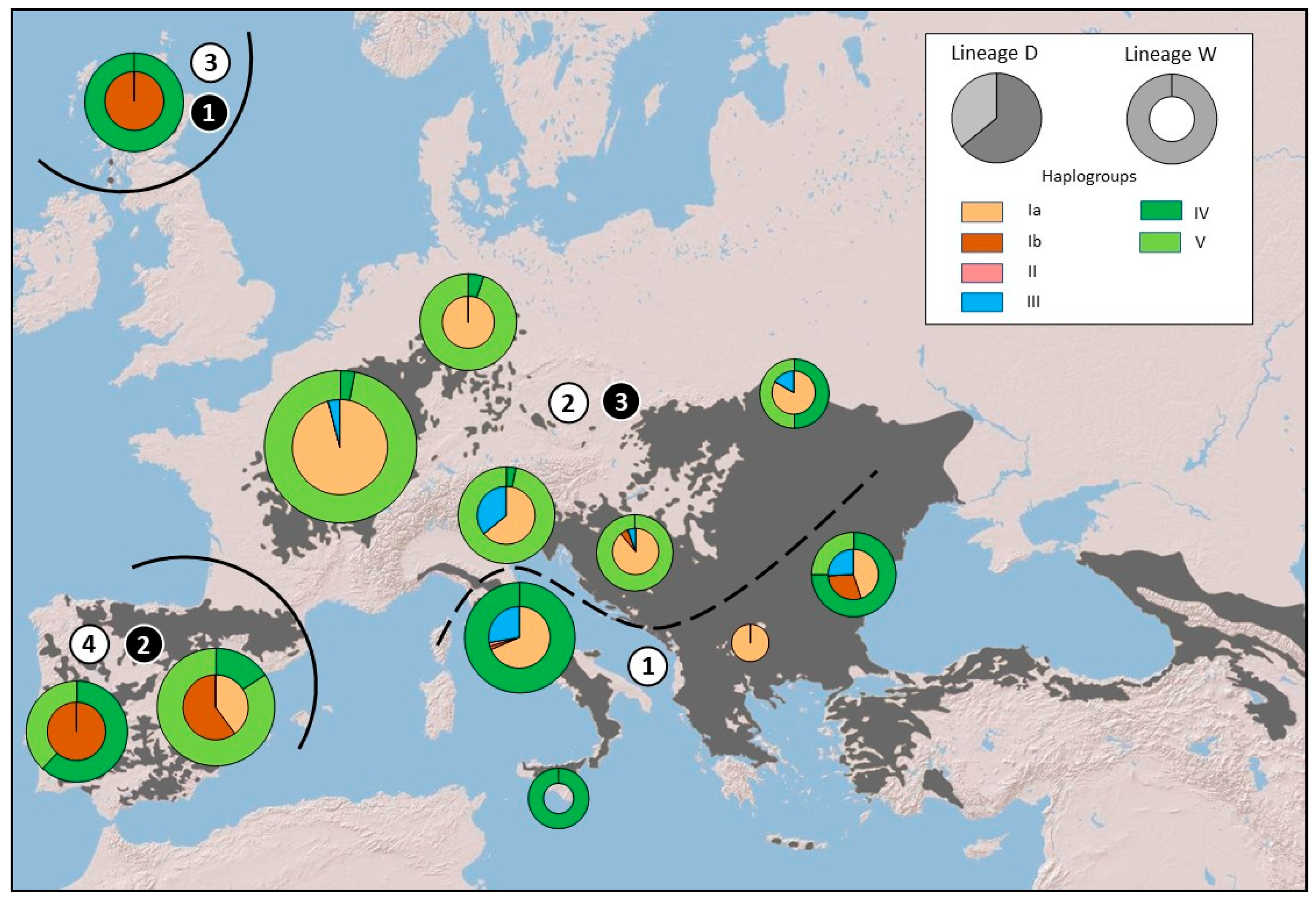 Animals 13 00953 g003 Animals 13 00953 g003
