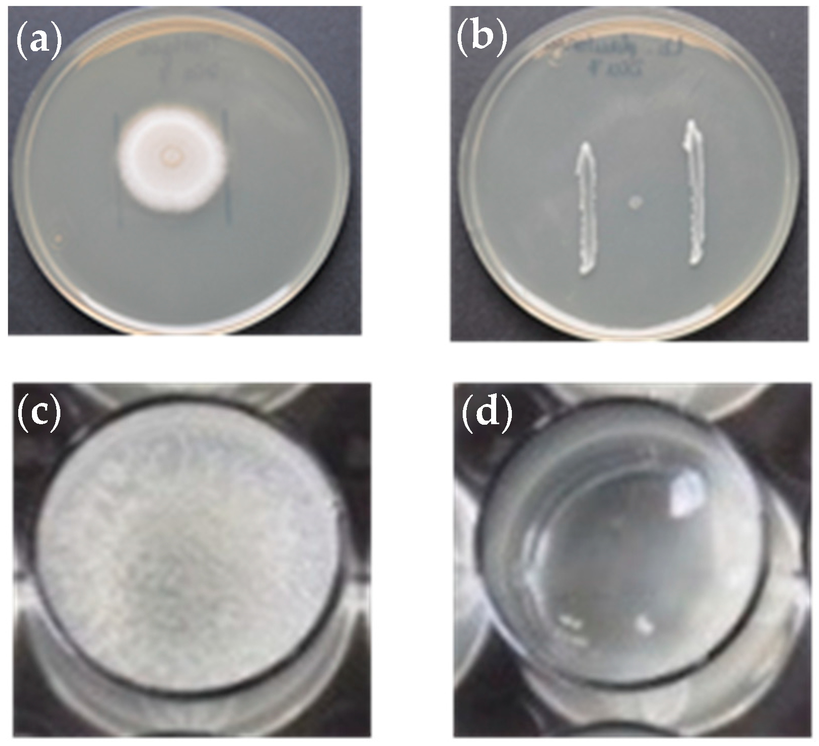 Animals 13 00954 g001 Animals 13 00954 g001