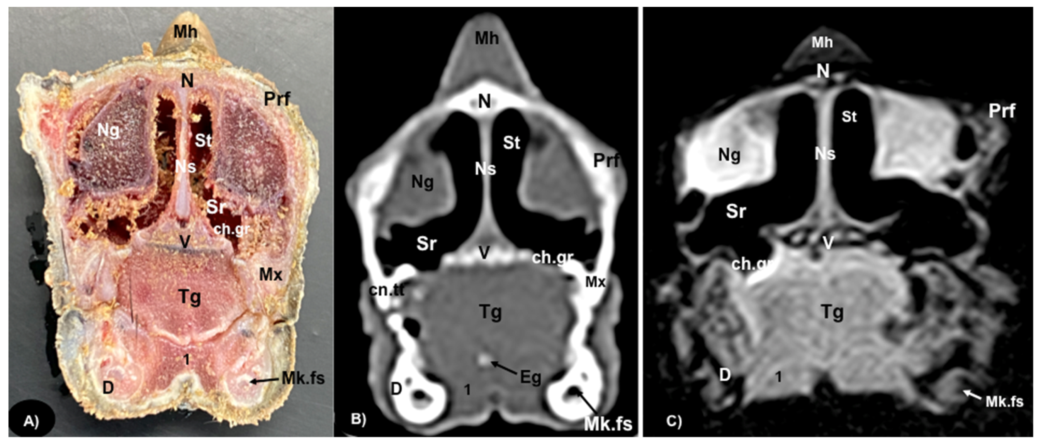 Animals 13 00955 g002