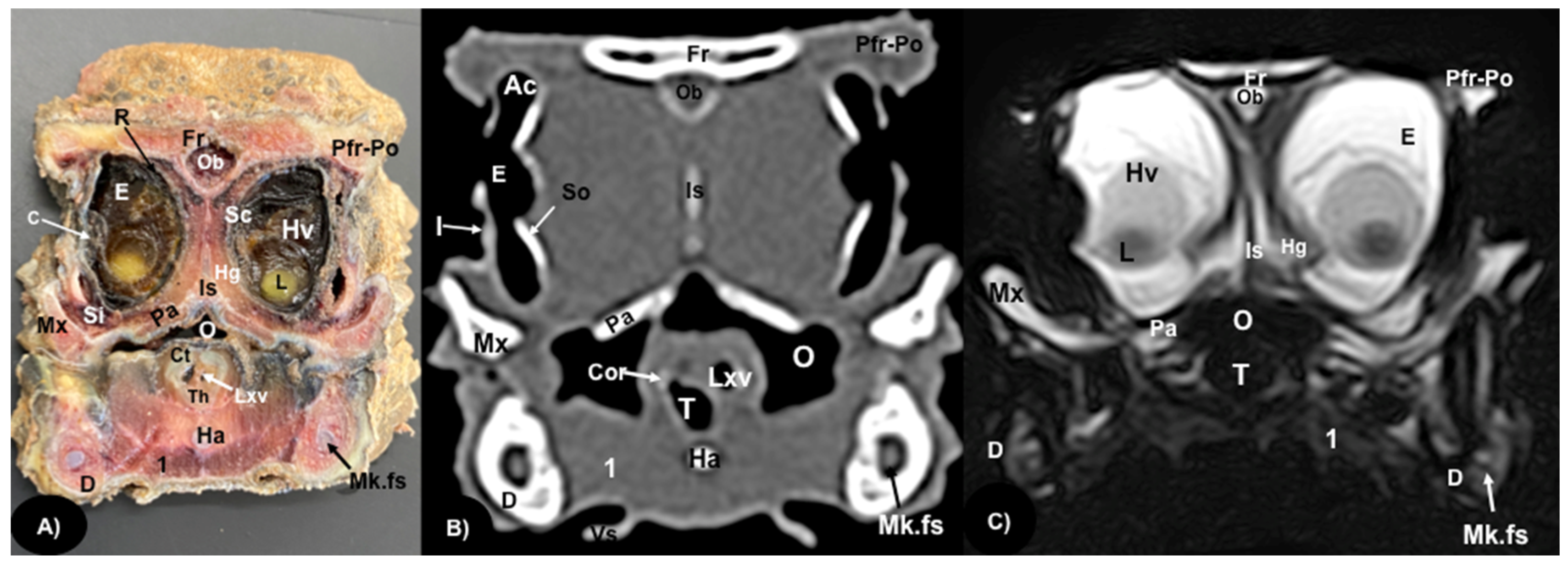Animals 13 00955 g003