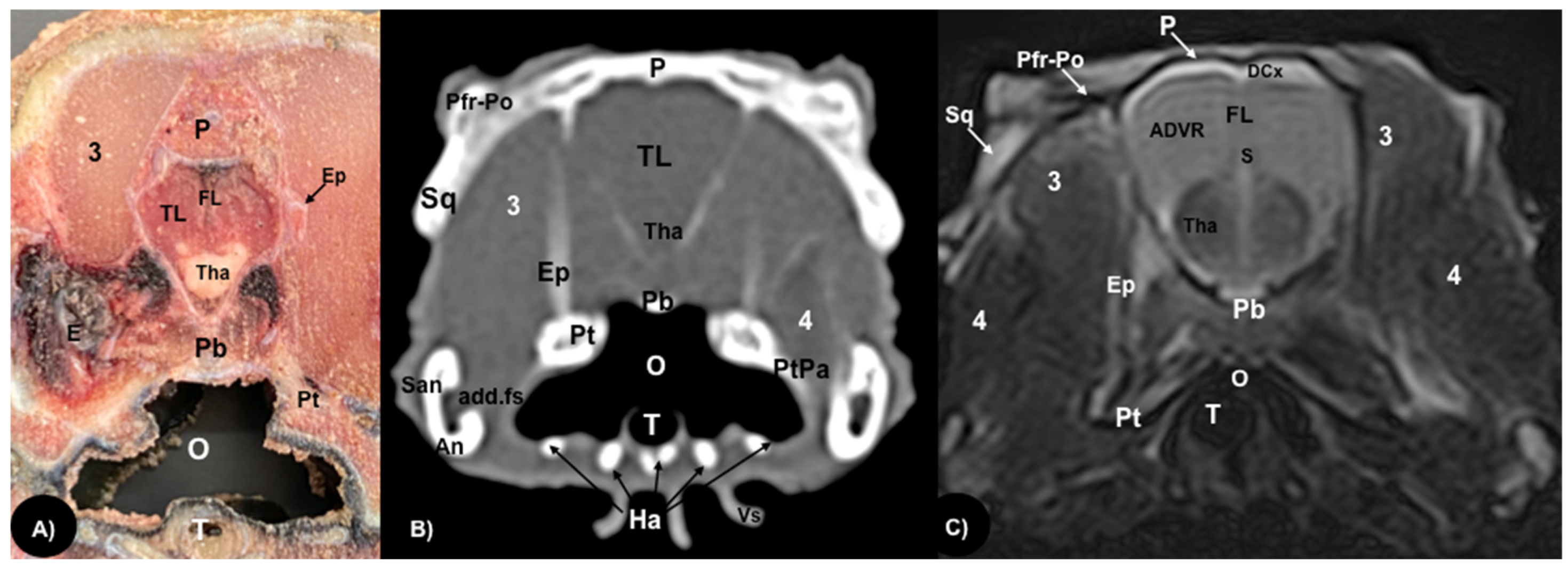 Animals 13 00955 g005
