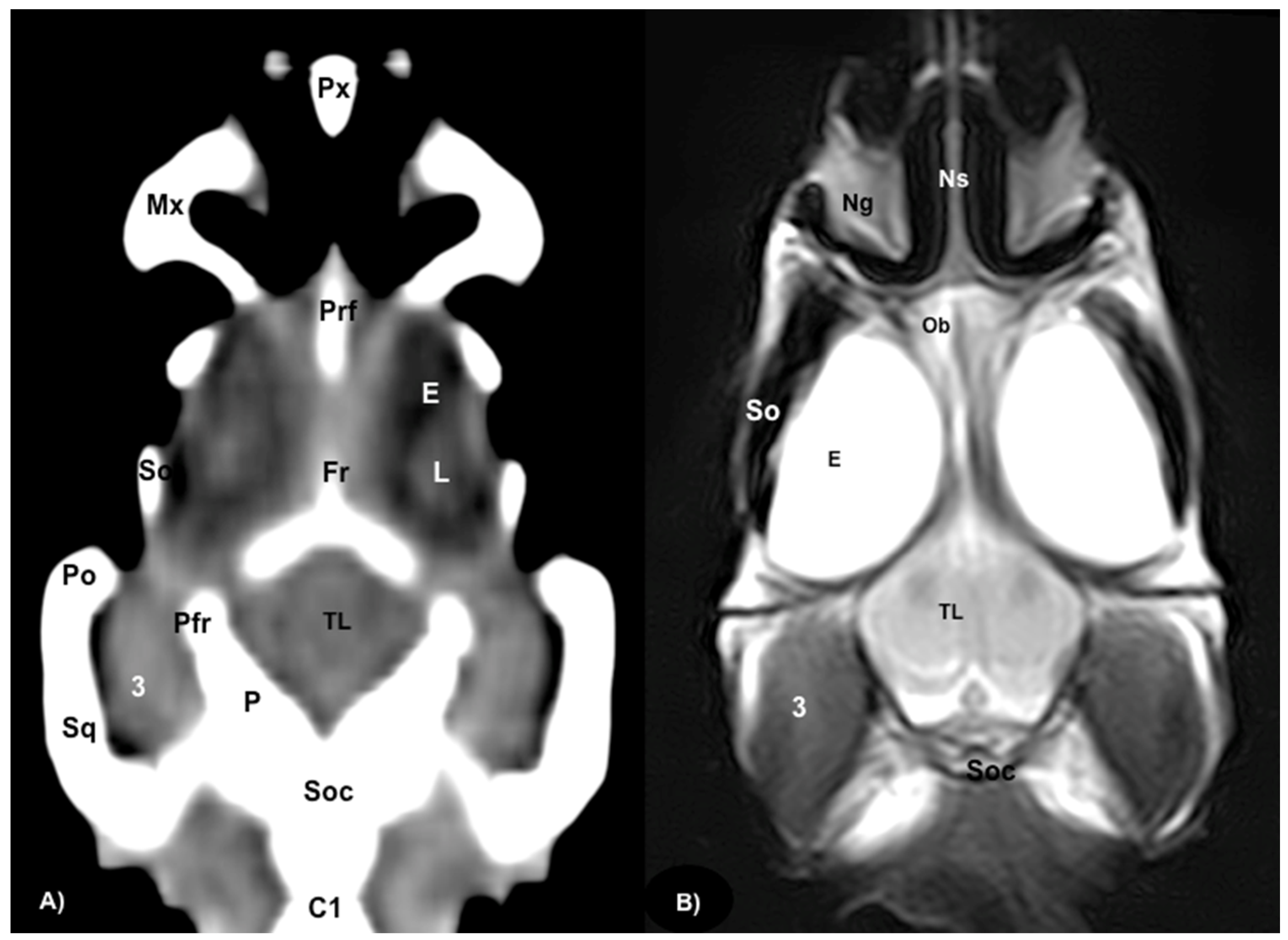 Animals 13 00955 g007