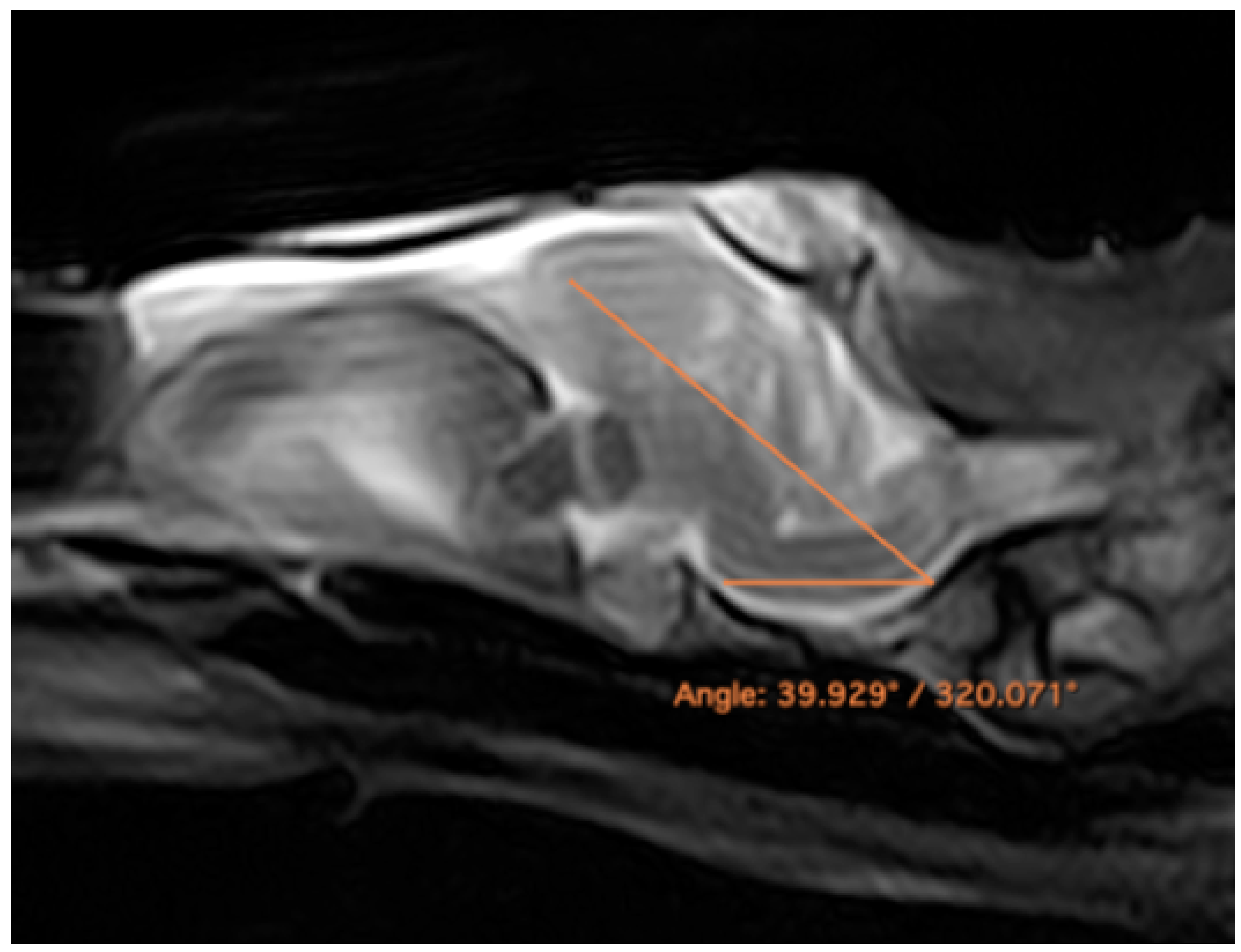 Animals 13 00955 g009