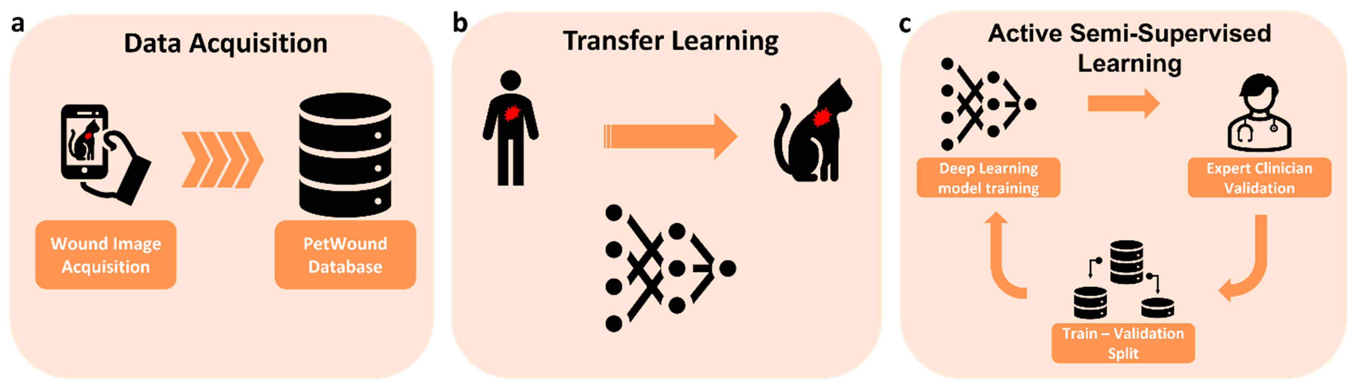 Animals 13 00956 g001