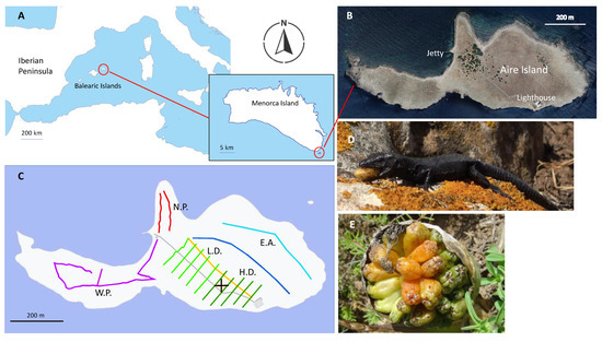 https://www.mdpi.com/animals/animals-13-00973/article_deploy/html/images/animals-13-00973-g001-550.jpg