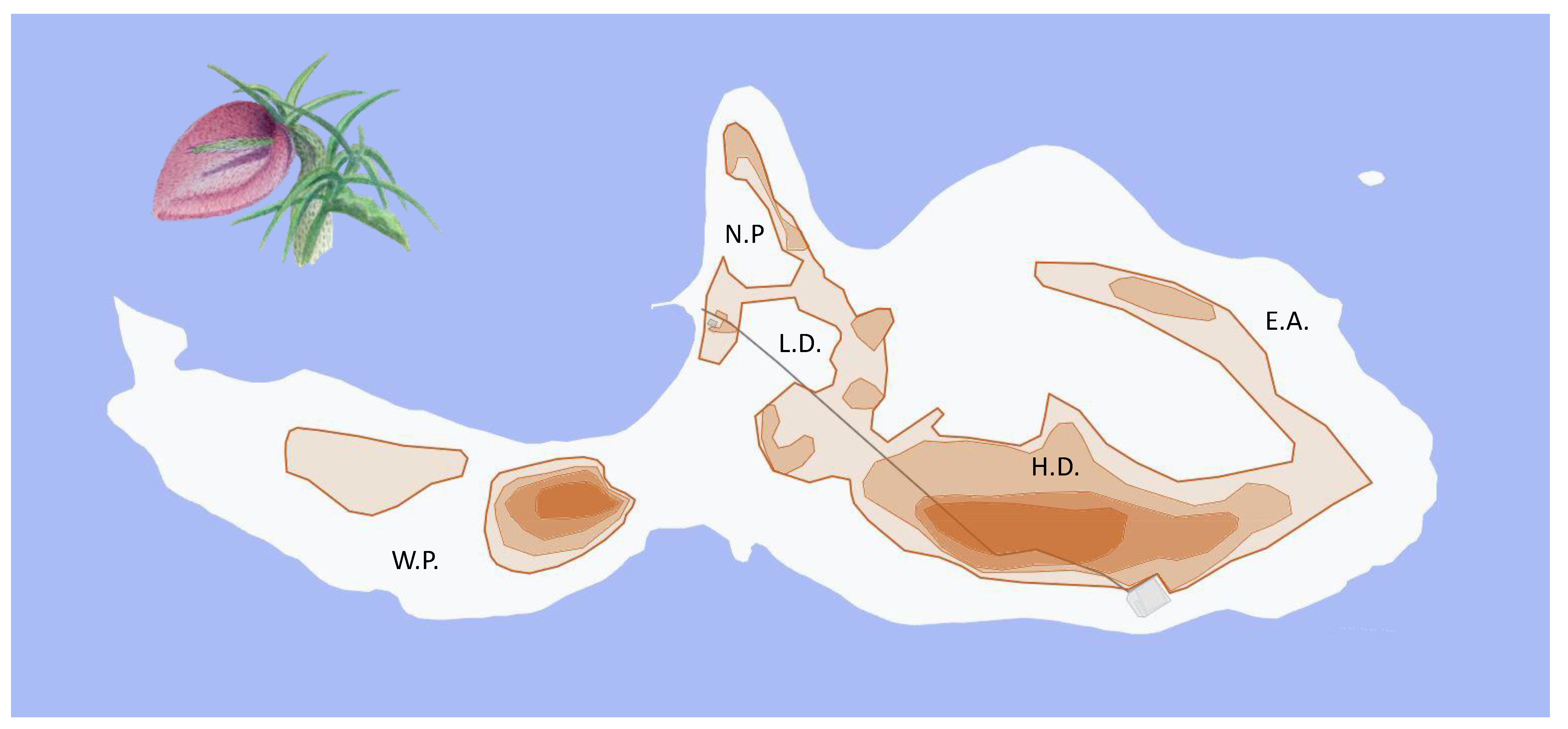 Animals 13 00973 g002 Animals 13 00973 g002