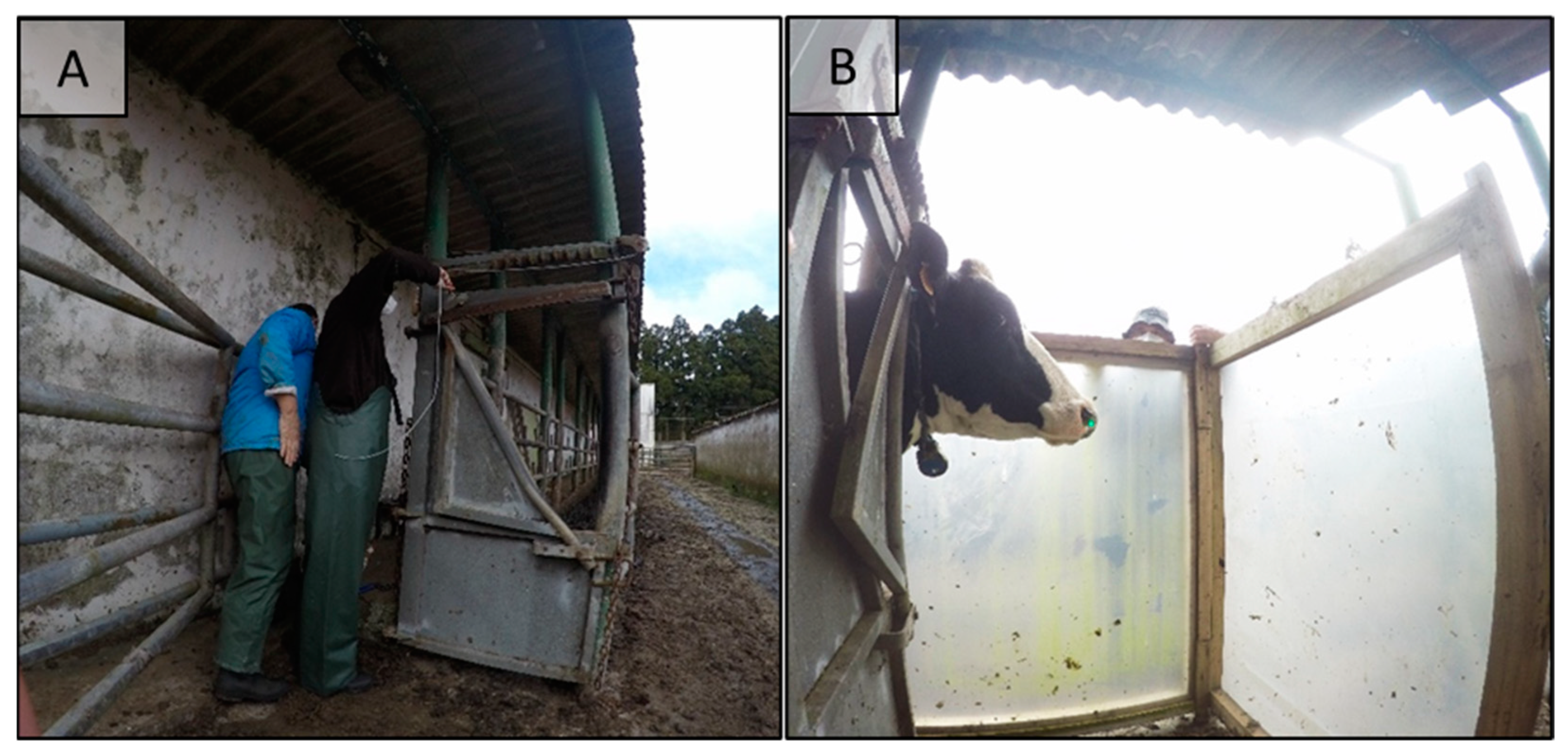 Animals 13 00974 g001 Animals 13 00974 g001