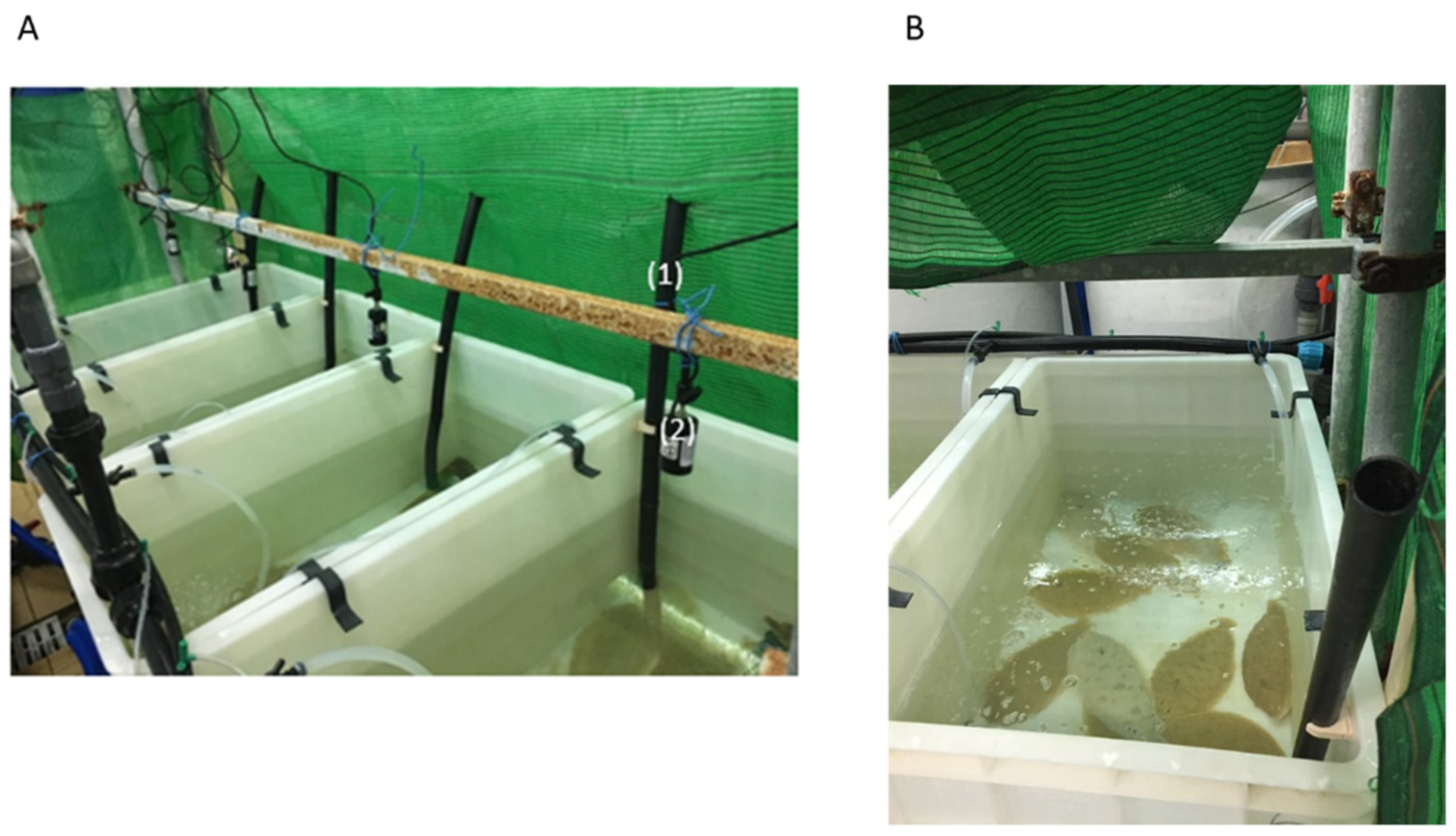 Animals 13 00978 g001 Animals 13 00978 g001