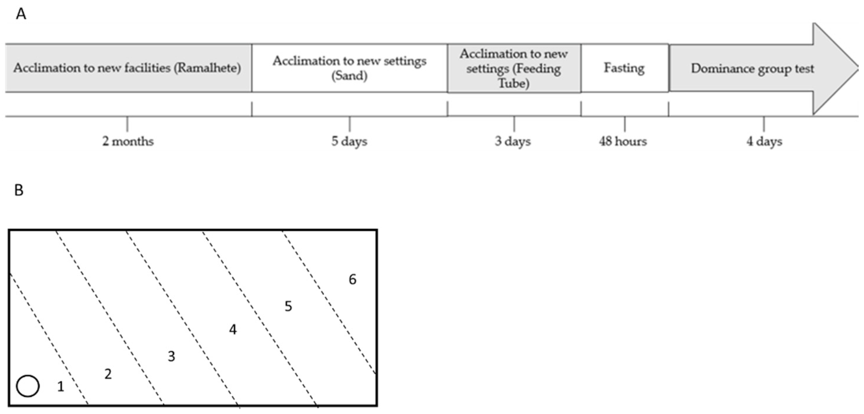 Animals 13 00978 g002 Animals 13 00978 g002