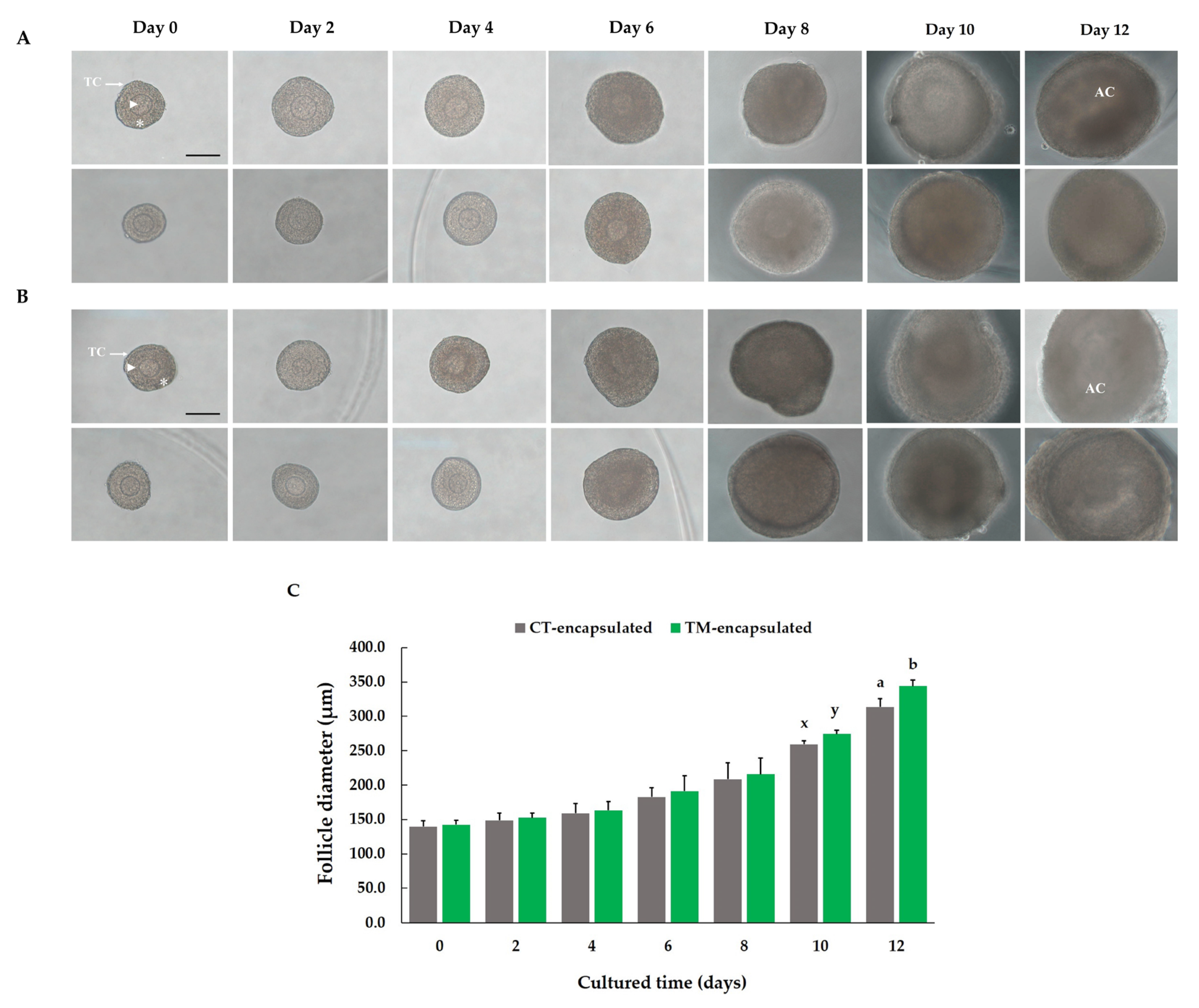 Animals 13 00980 g002 Animals 13 00980 g002