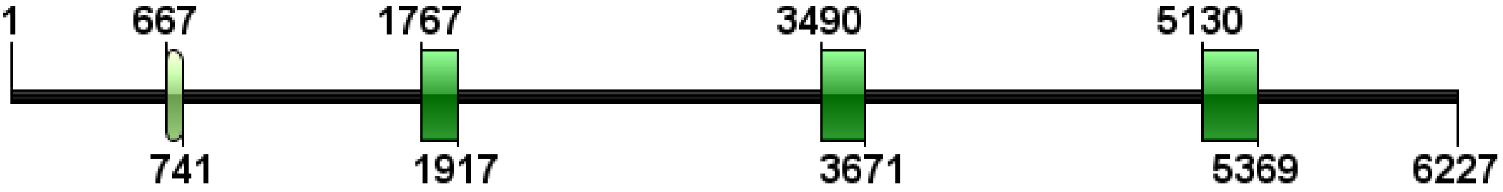 Animals 13 00982 g002 Animals 13 00982 g002