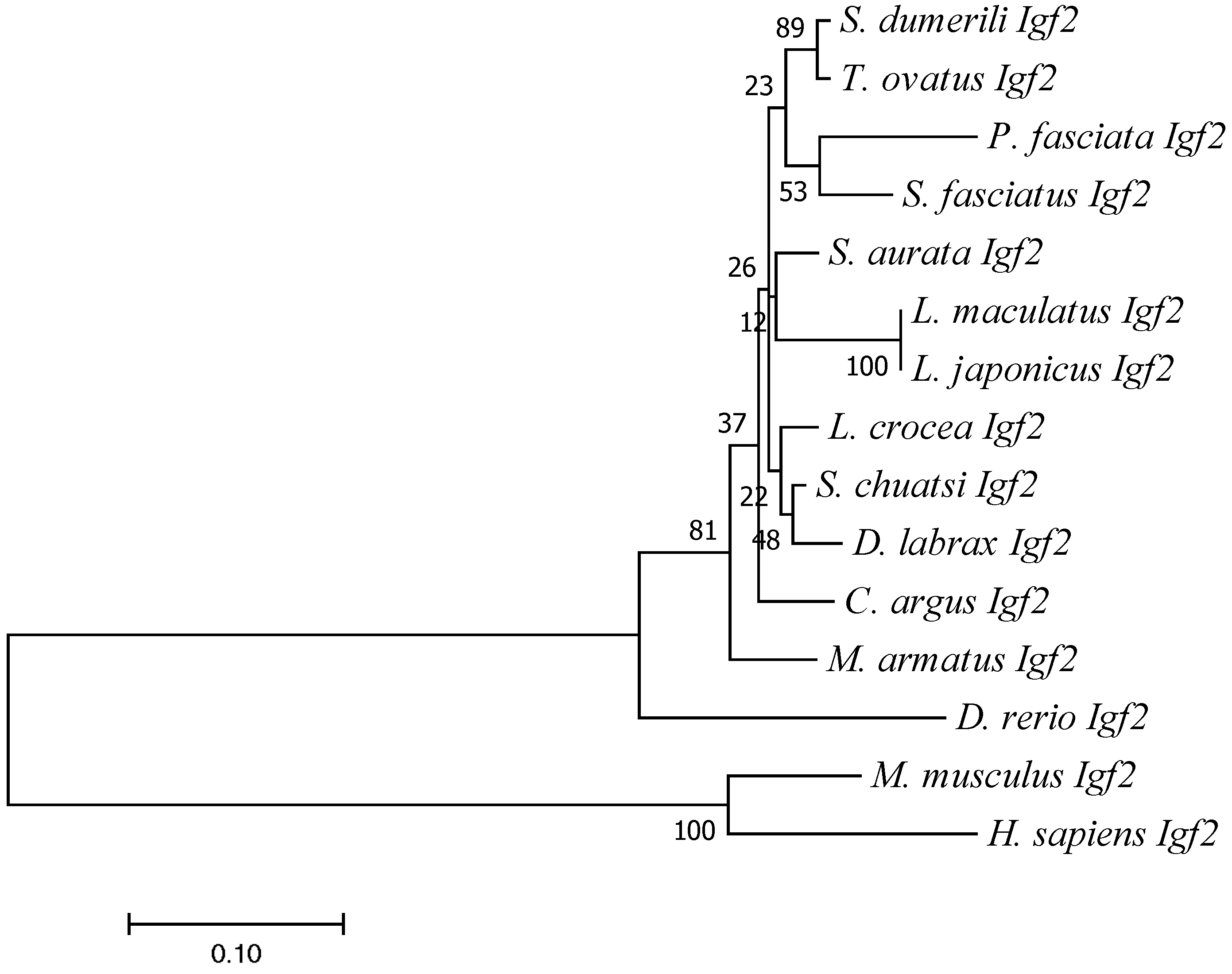 Animals 13 00982 g004 Animals 13 00982 g004