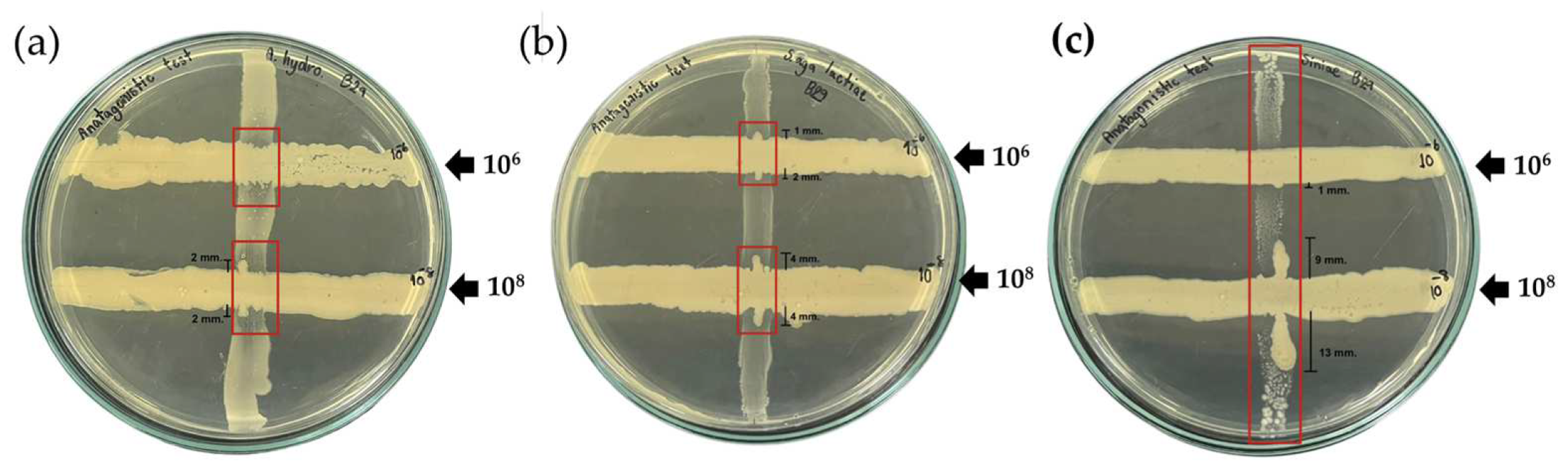 Animals 13 00986 g001